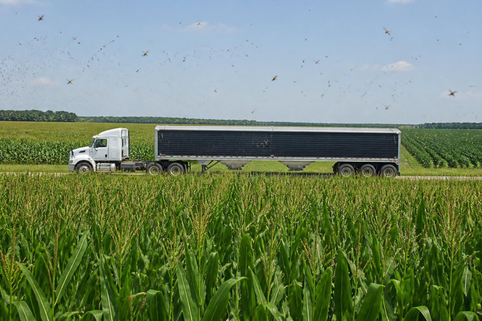 Louisiana Grain Infrastructure Expands as Connectivity Initiatives Take Hold - AgroPost