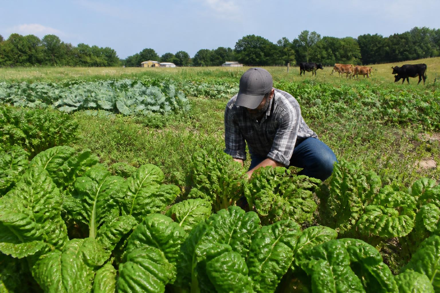 New Mexico Producers Urged to Maintain Vigilance as Biosecurity Threats Evolve