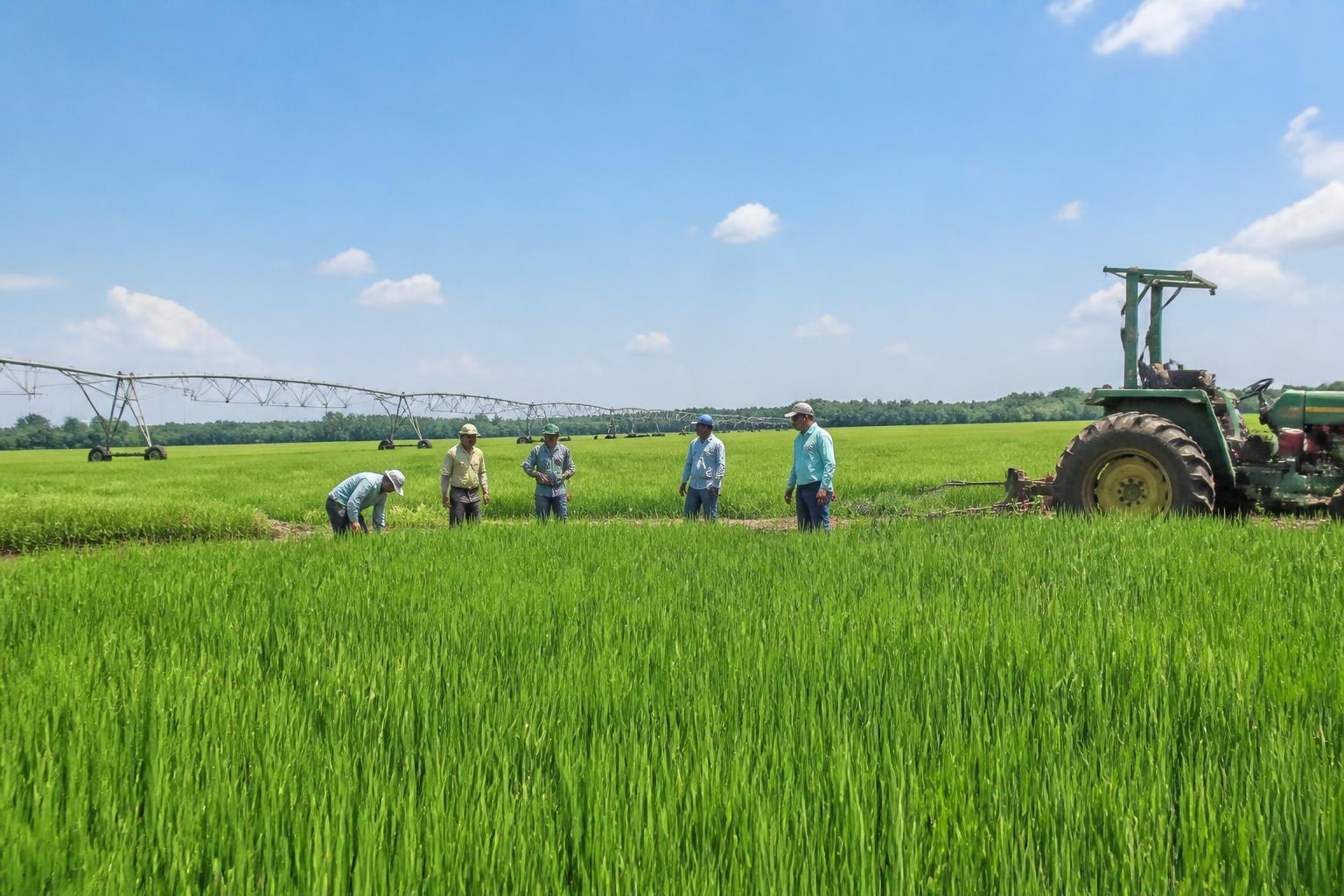 Arkansas Crop Protection: Navigating Late-Season Regulatory Shifts - AgroPost