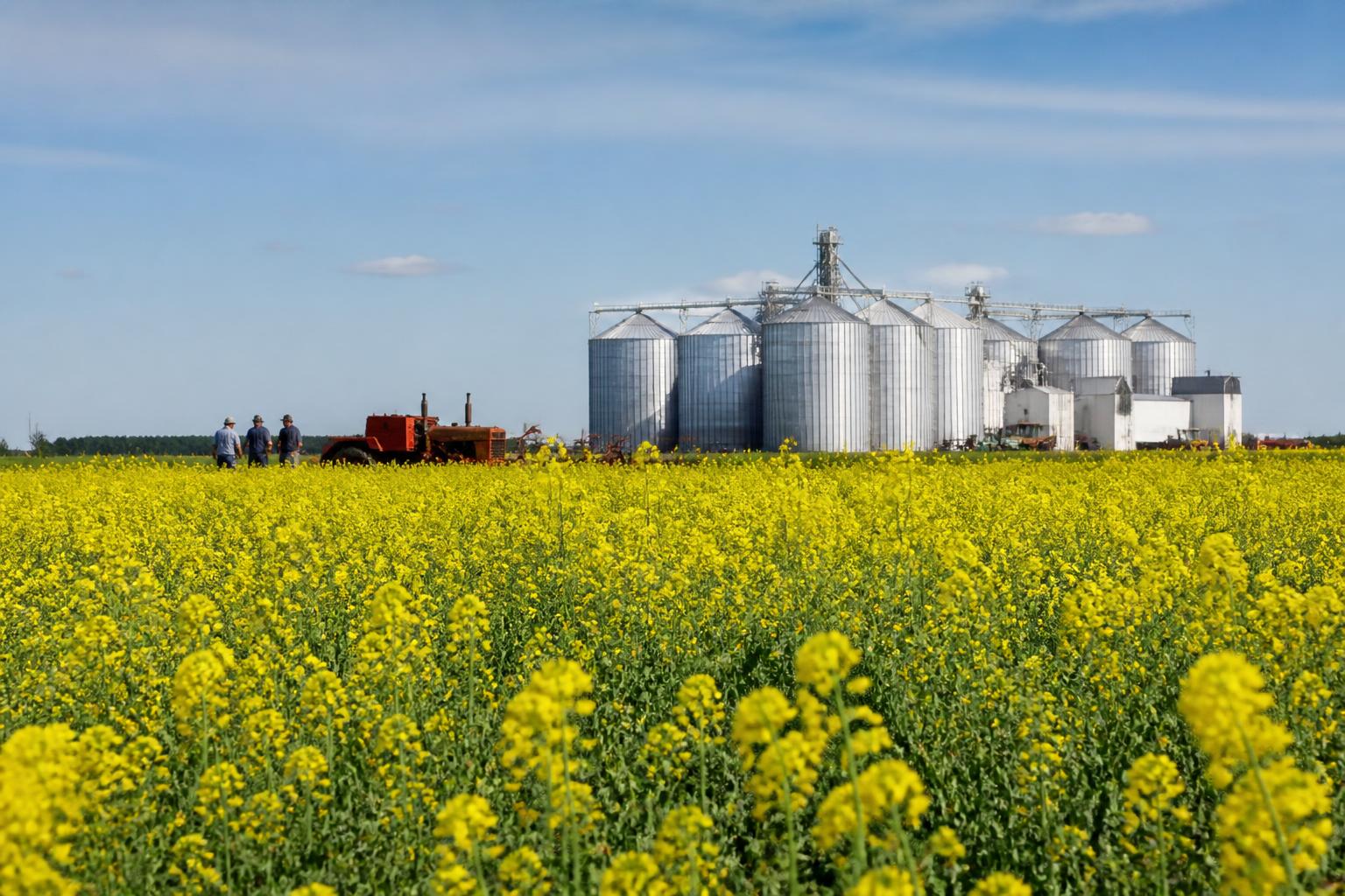 North Dakota Growers Tighten Belts as Market Headwinds Persist