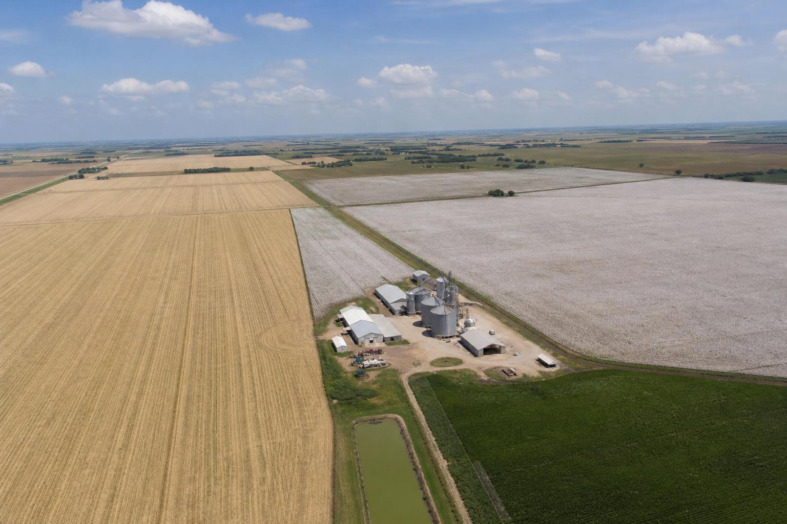 Texas Grain Market Outlook: Navigating Input Pressures, Variety Selection, and High-Tech Farm Management