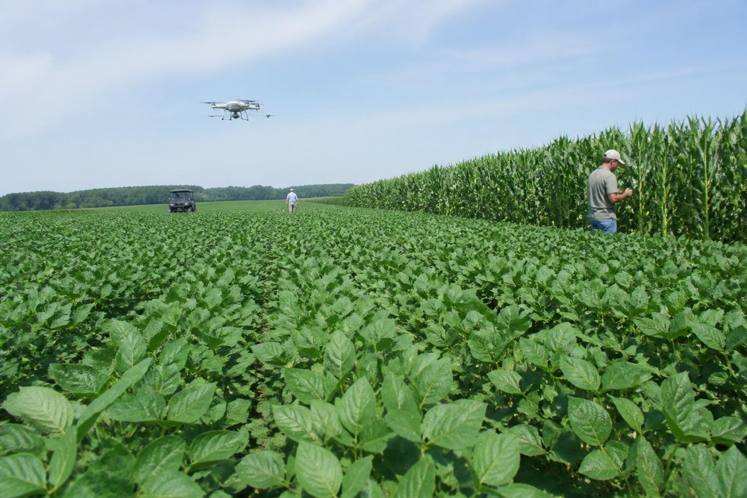 North Carolina Crop Protection: Navigating Biological Advancements and Input Trends - AgroPost