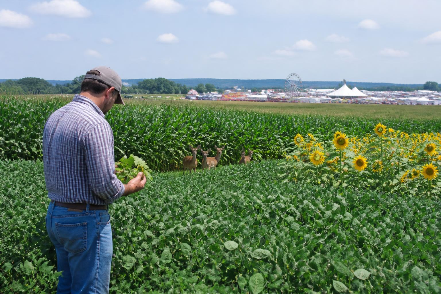 Tennessee Producers Pivot to Global Markets for Corn and Soybeans - AgroPost