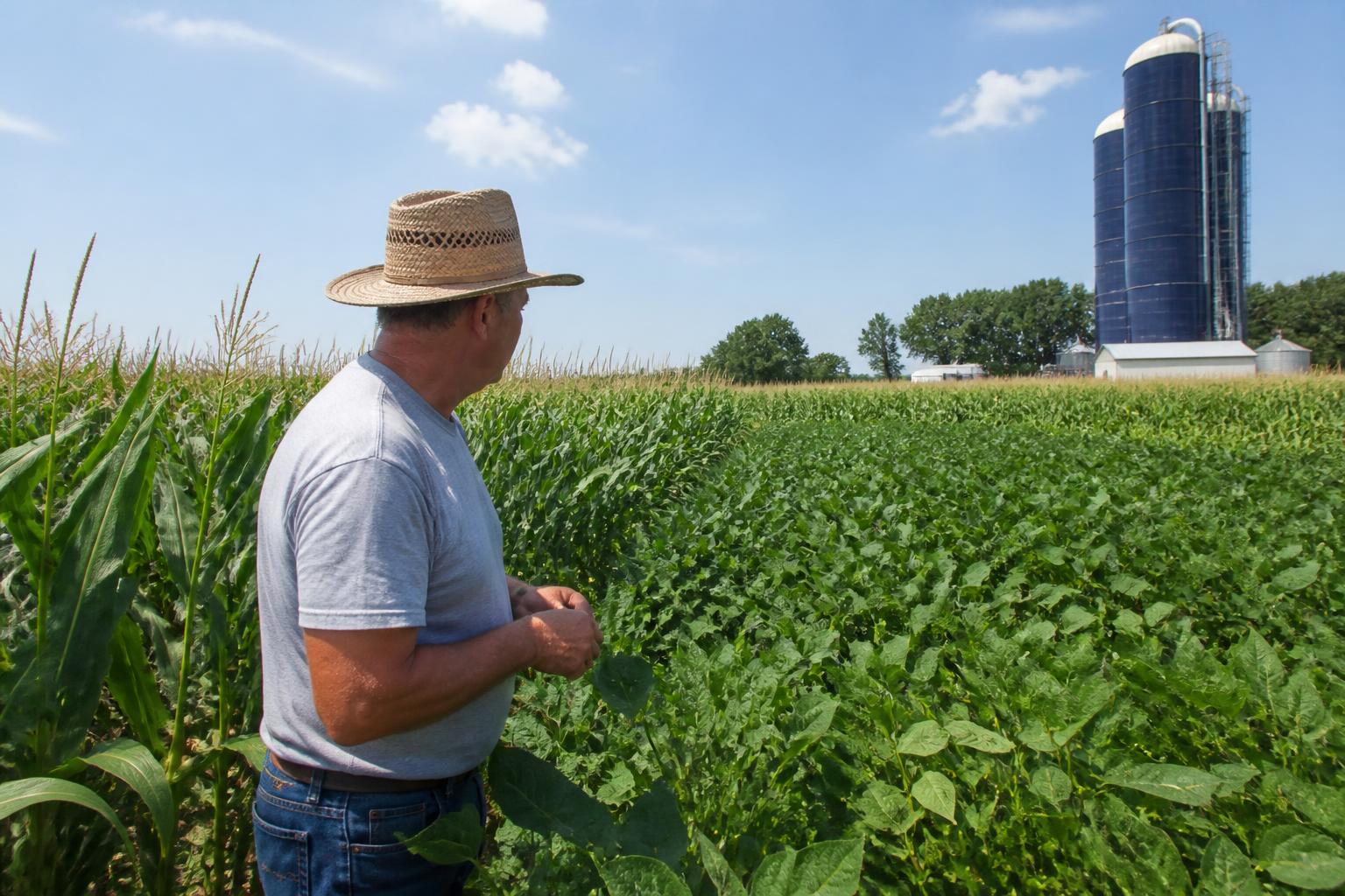 Managing Seasonal Harvest Surpluses and Infrastructure Growth in South Dakota - AgroPost