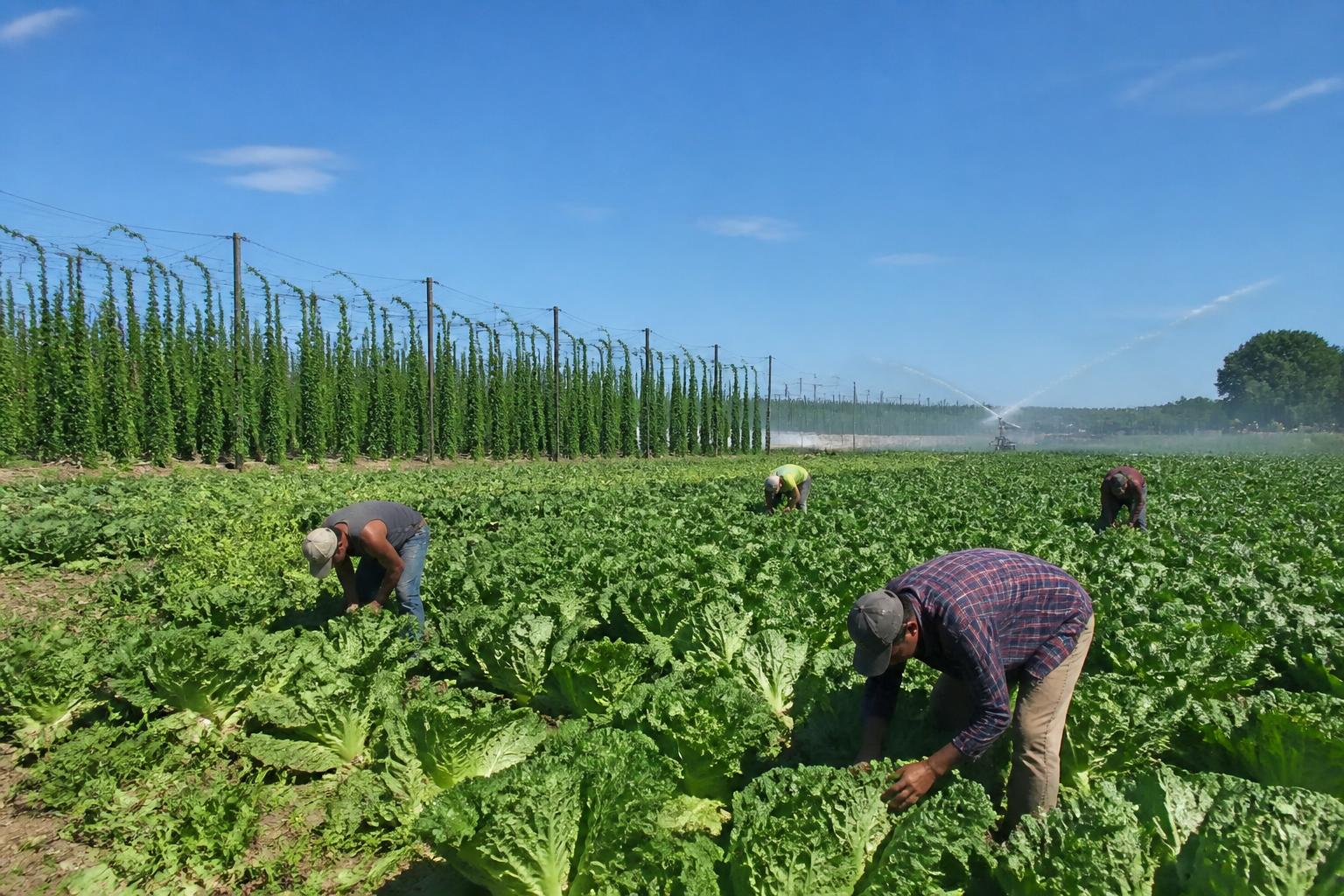 Michigan Fertilizer Storage and Regulation Update: What Operators Need to Know - AgroPost