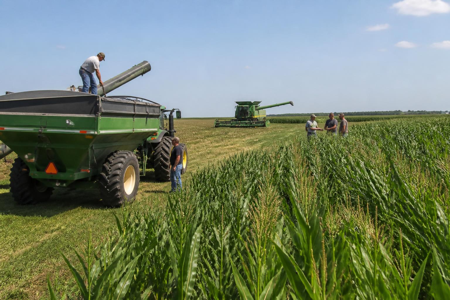 Nebraska Harvest Logistics: Navigating Mid-Summer Transport Pressures - AgroPost
