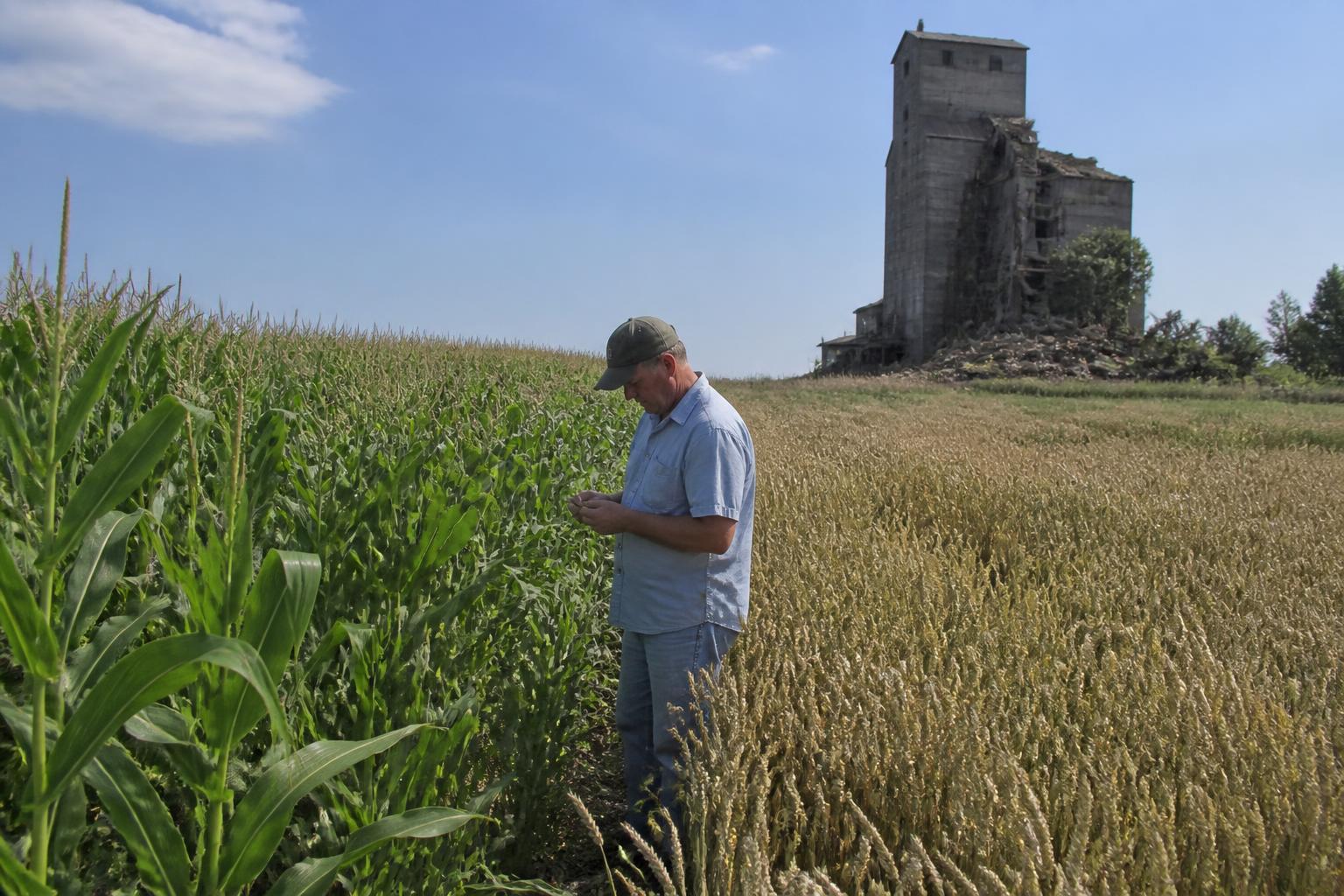 Securing Utah's Agricultural Future: Protection Trends and Land Management - AgroPost