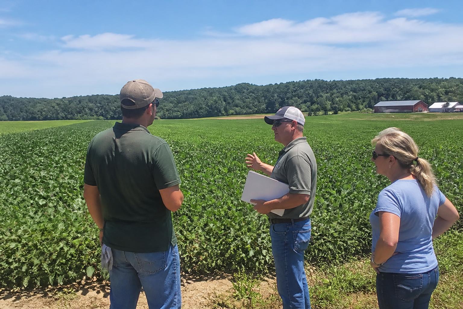 Maryland Harvest Logistics: Managing Mid-Summer Field Access and Transport - AgroPost