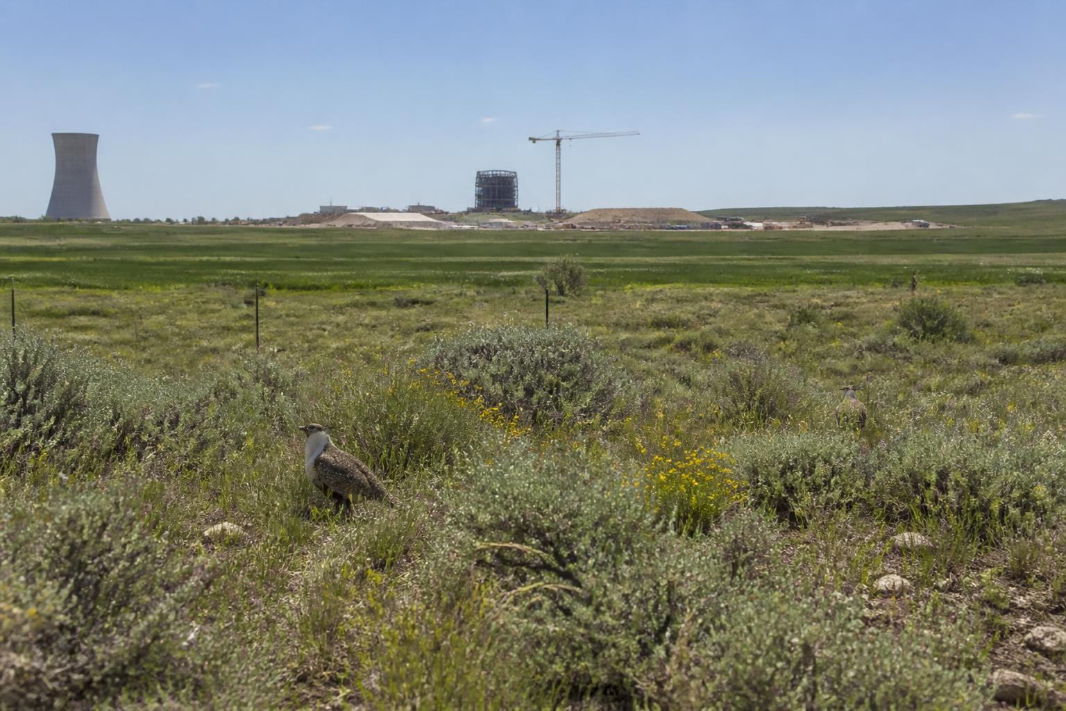 Navigating Conservation Pilots and Land Use Regulations in Wyoming - AgroPost