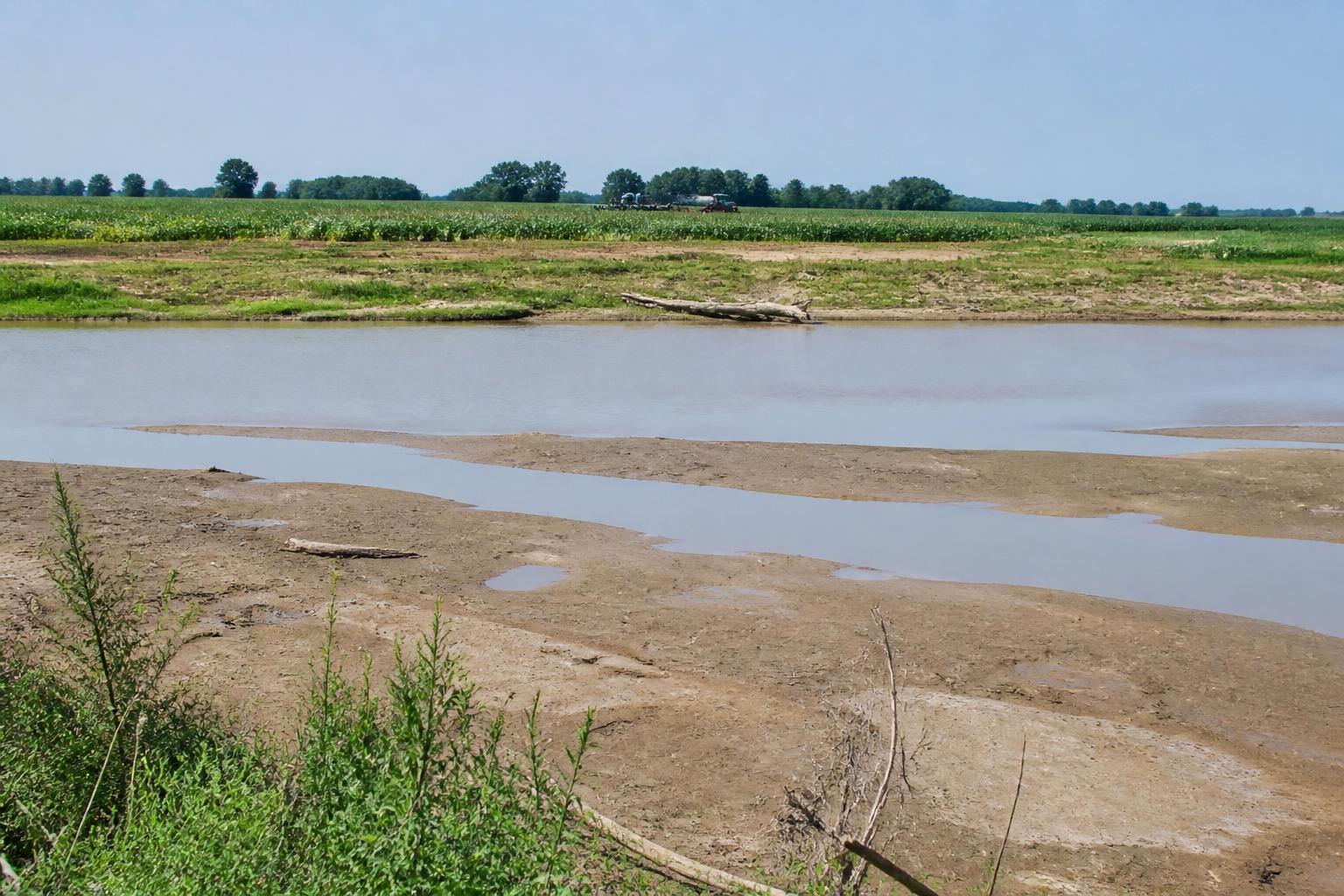 Louisiana Grain Market Brief: Navigating Logistical Hurdles and Water Levels - AgroPost