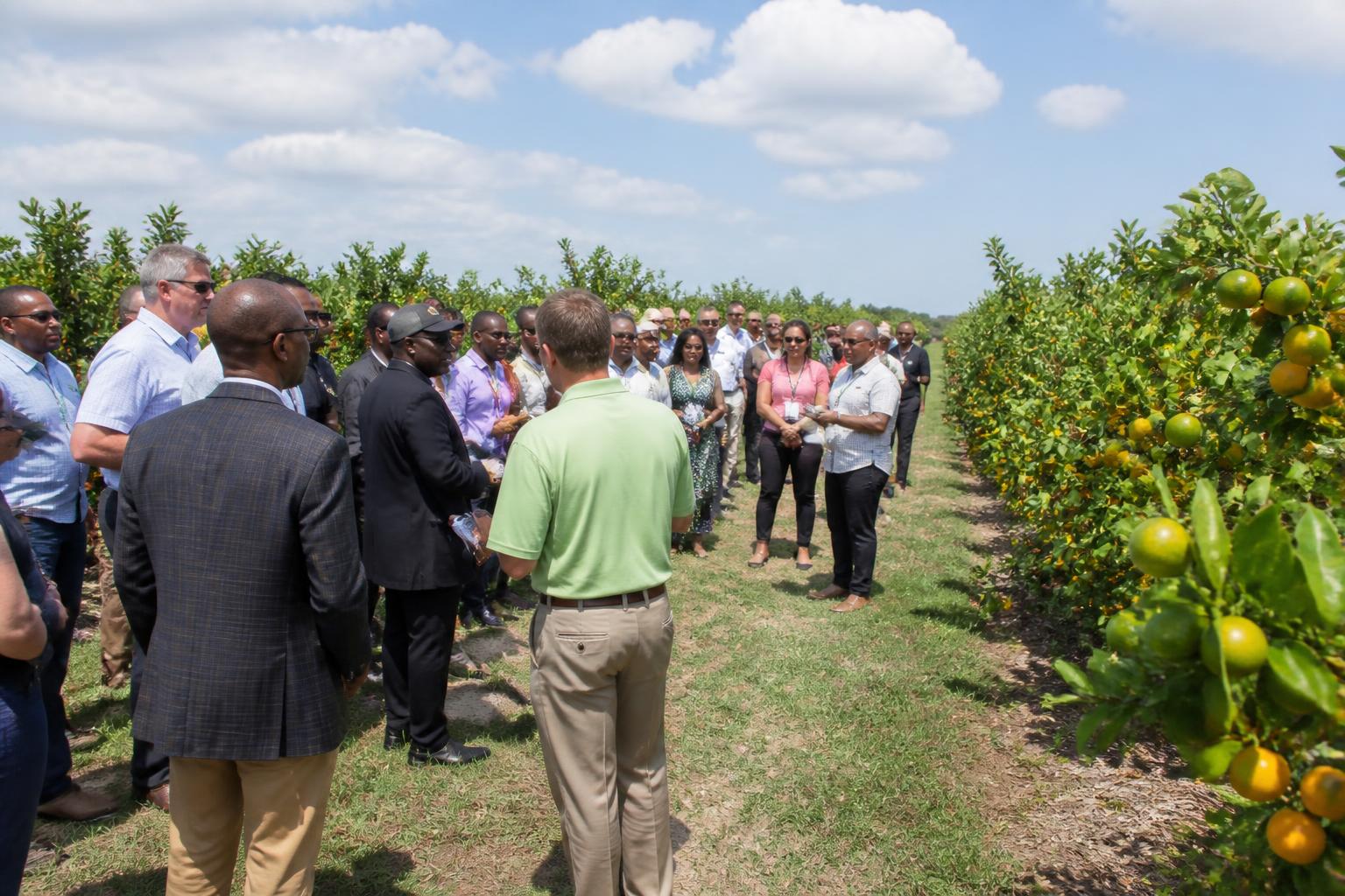 Florida Fertilizer Outlook: Managing Supply Chain Resilience Amid Summer Disruptions - AgroPost