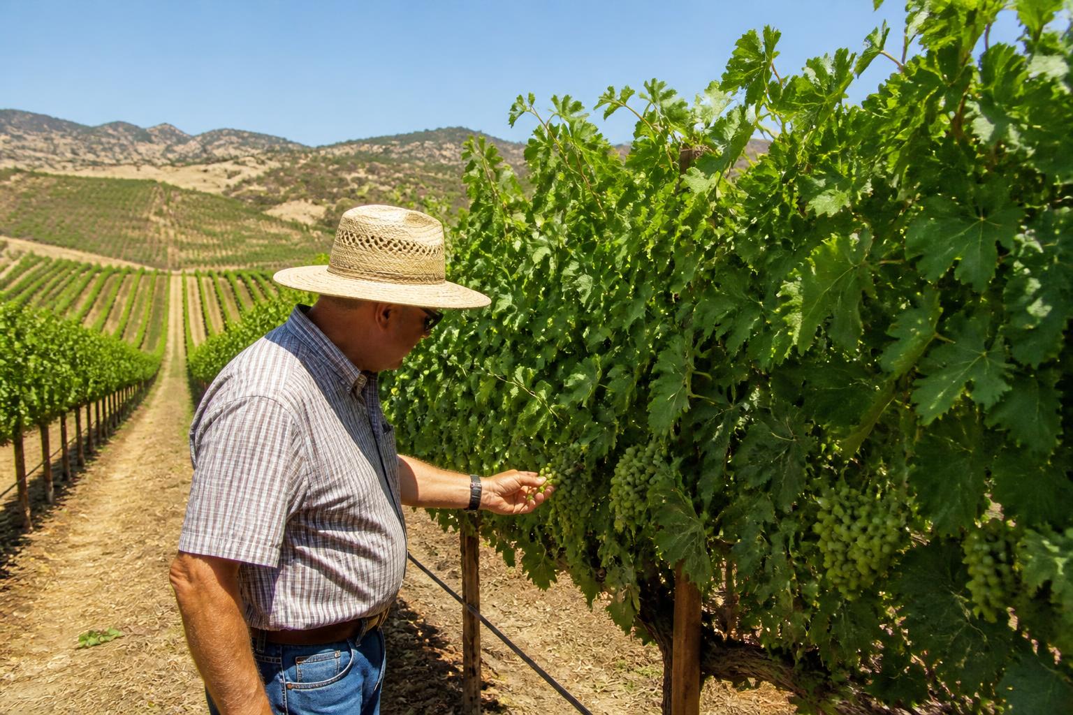 California Fertilizer Outlook: Navigating Volatility and Supply Constraints