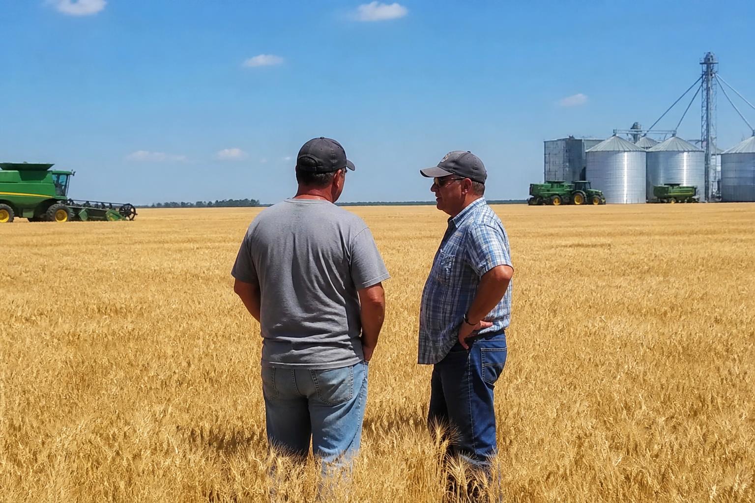 Navigating Kansas Market Headwinds Amid Historic Harvest Challenges - AgroPost