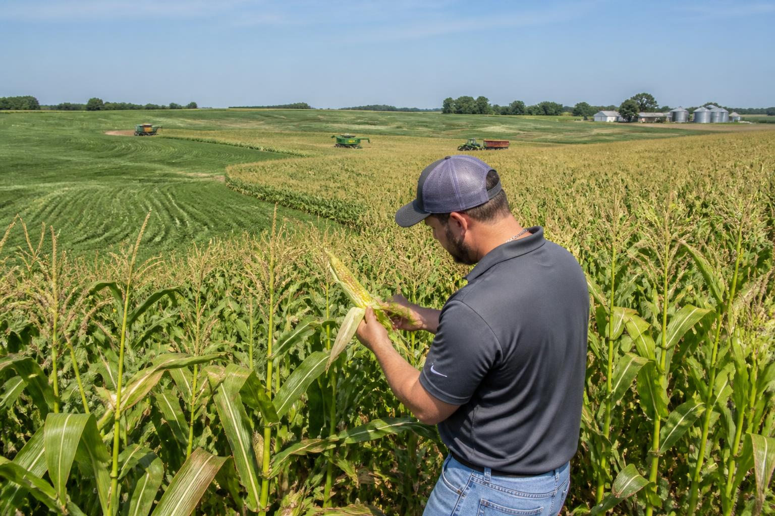 Minnesota Field Update: Managing Pest Pressure and Crop Health in Late Summer