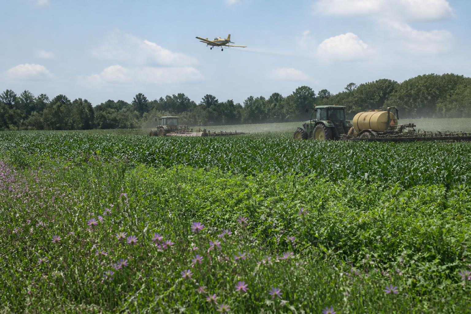 Productores de Maryland Equilibran Presiones de Plagas y Cambios en la Infraestructura a Fin de Verano