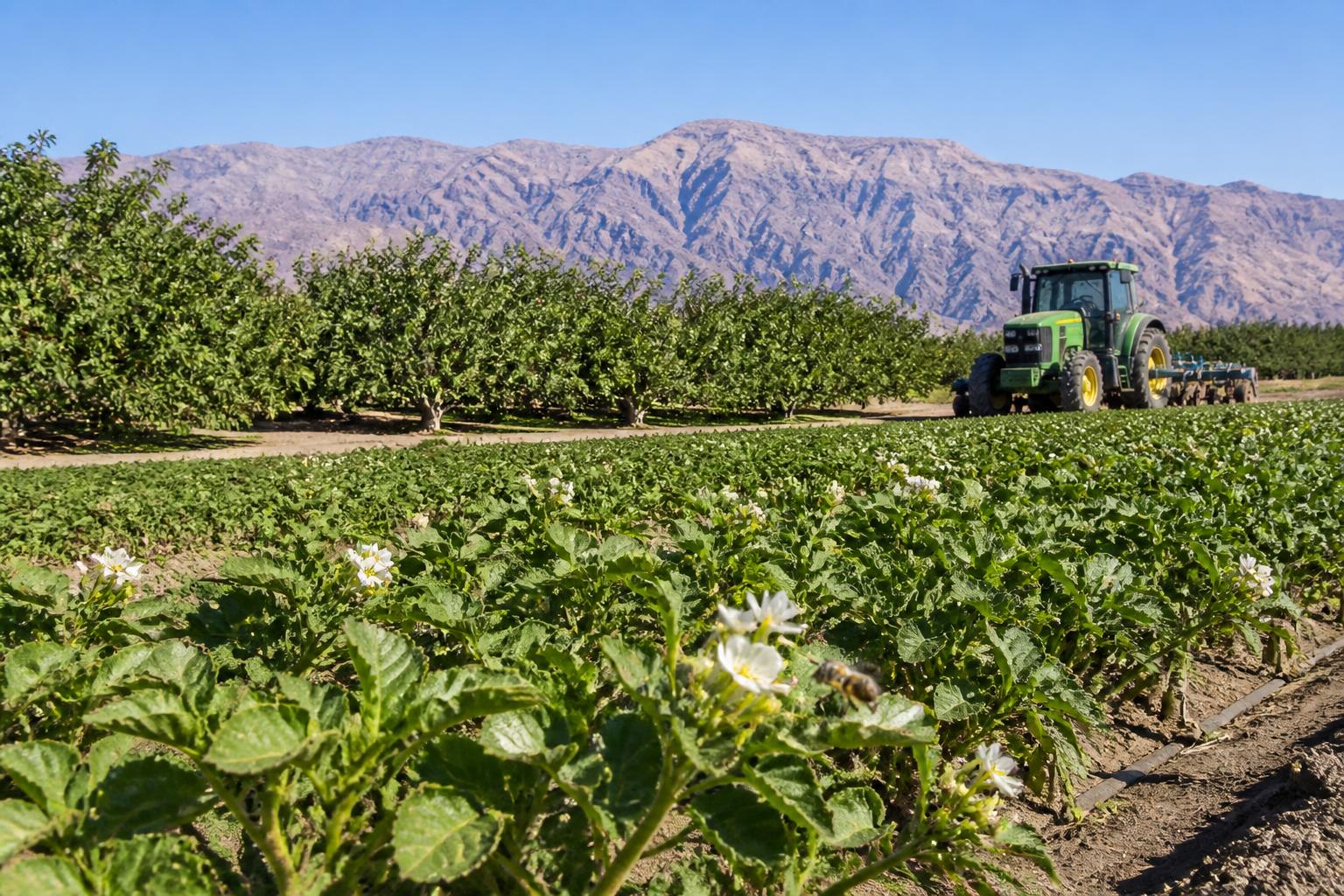 California Input Market Update: Supply Chain Resilience and Soil Health Innovation