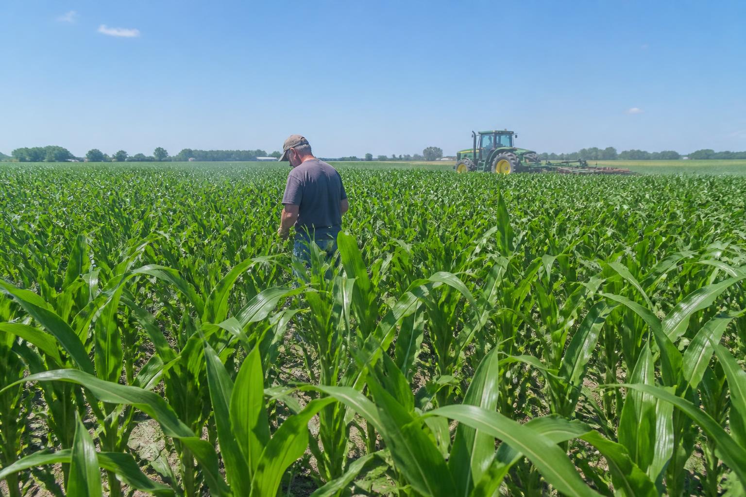 Navigating Iowa Input Costs and Fertilizer Supply Constraints