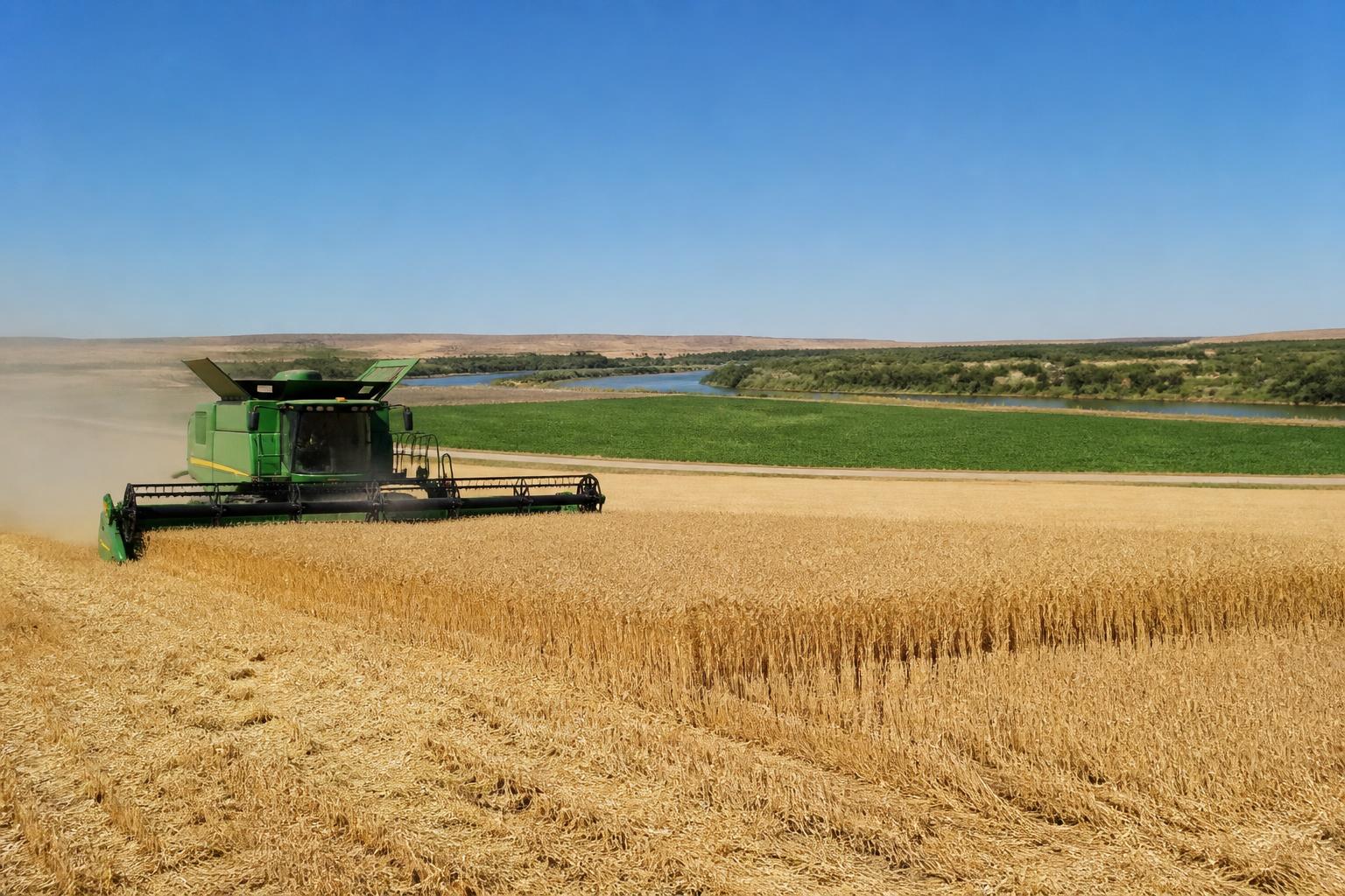 Navigating Late-Season Grain Logistics in Colorado