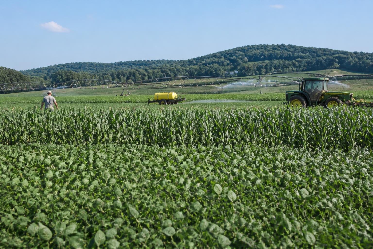 Tennessee Fertilizer Market Outlook: Navigating Summer Supply and Policy Shifts