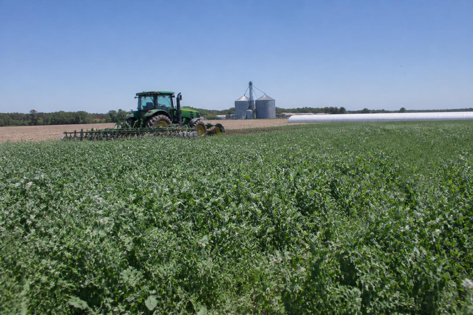 Optimizing Soil Fertility and Fertilizer Efficiency in Indiana