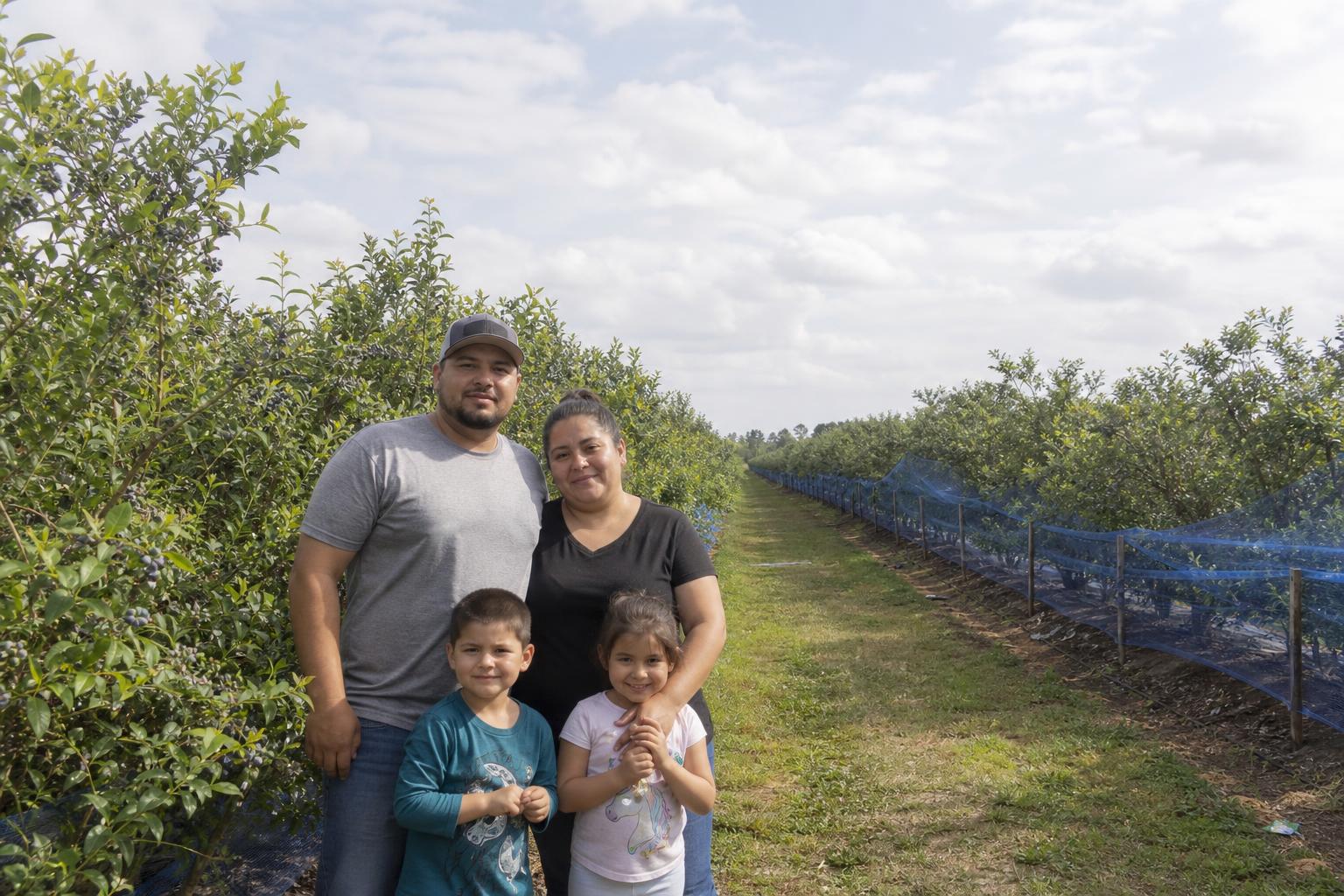 Protected Cultivation and Biologicals: Safeguarding Alabama's Summer Crop Yields - AgroPost