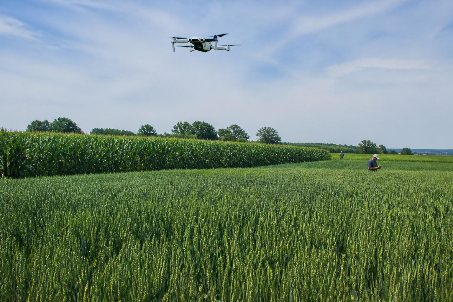 Summer Logistics Update: Navigating Ohio Grain Flow Amid Infrastructure Growth