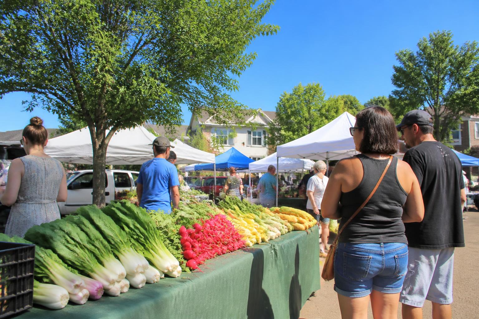 Alabama Agricultural Update: Monitoring Operational Shifts and Economic Pressures