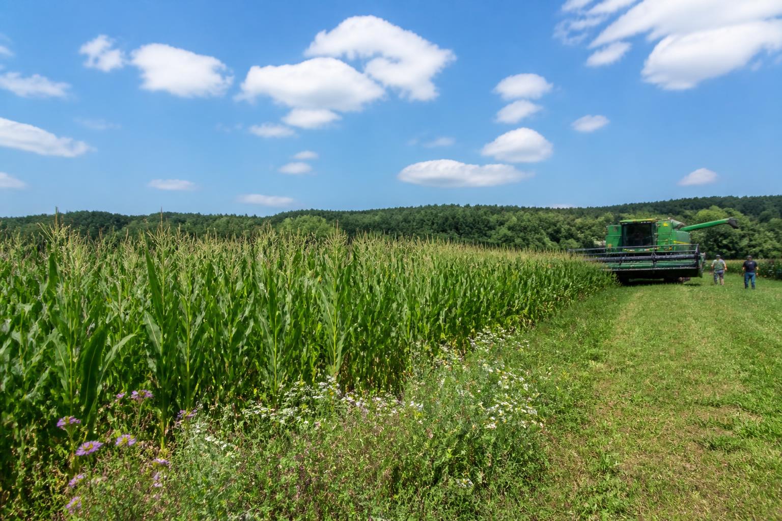 Vermont Farm Resilience: Navigating Input Costs and Seasonal Pressures - AgroPost
