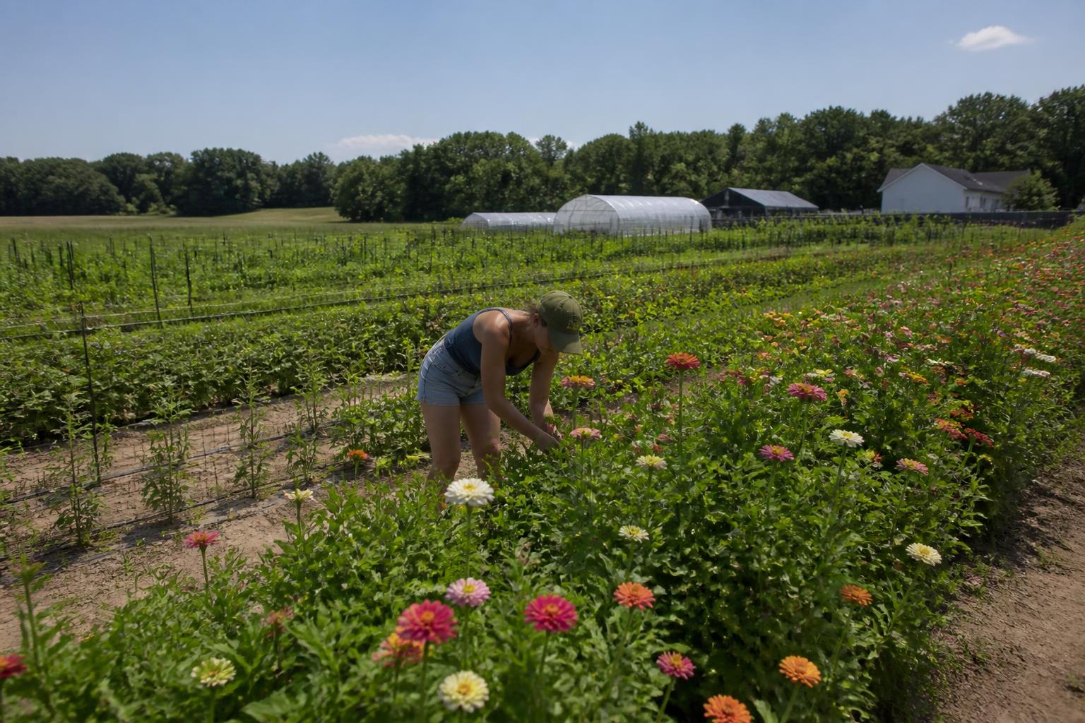 Indiana Agribusiness Update: Managing Mid-Summer Operational Challenges and Regulatory Compliance - AgroPost