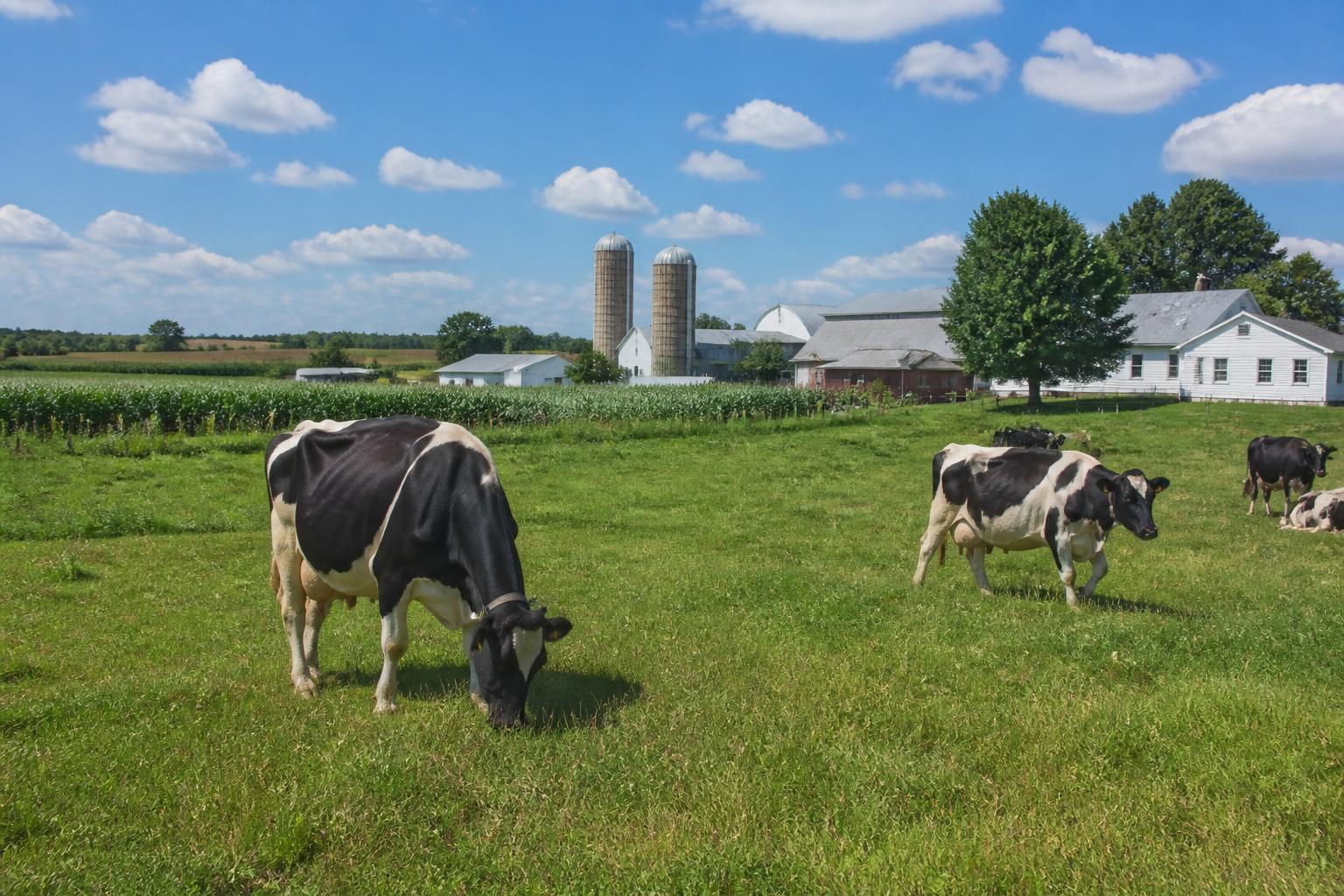 Wisconsin Logistics and Grain Movement: Managing Mid-Summer Supply Chain Pressures - AgroPost