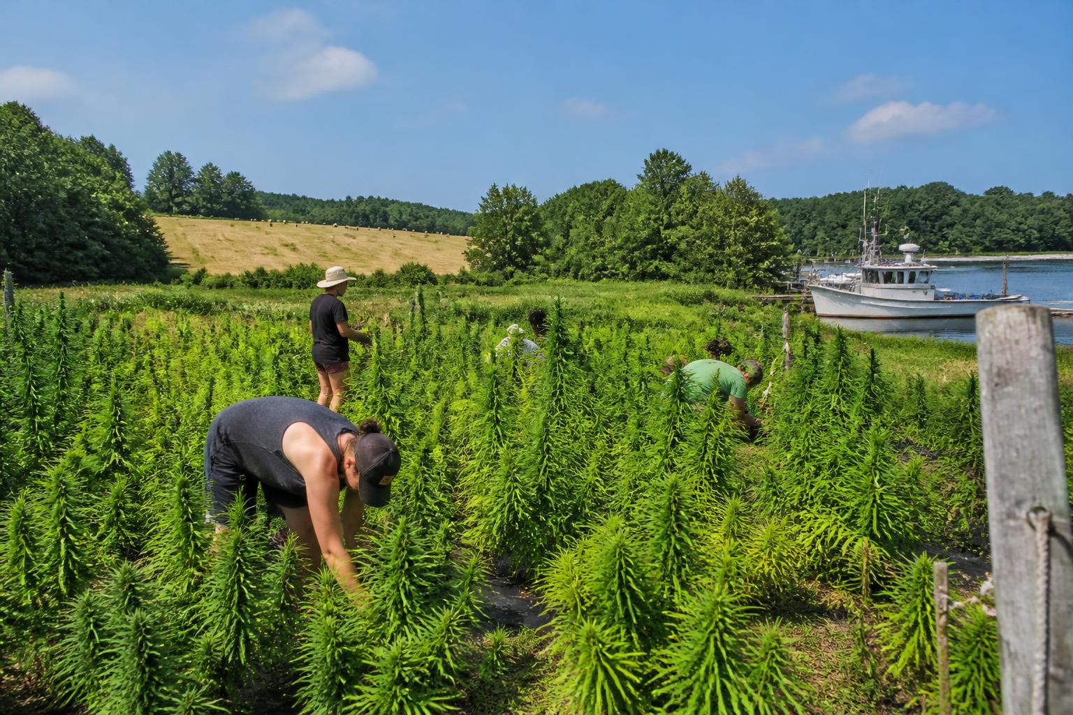 Maine Farm Landscapes Shift as Producers Prioritize Land Protection and Resilience - AgroPost