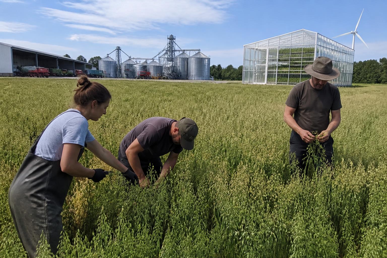 Wyoming Producers Navigate Seasonal Crop Pressures and Infrastructure Trends - AgroPost