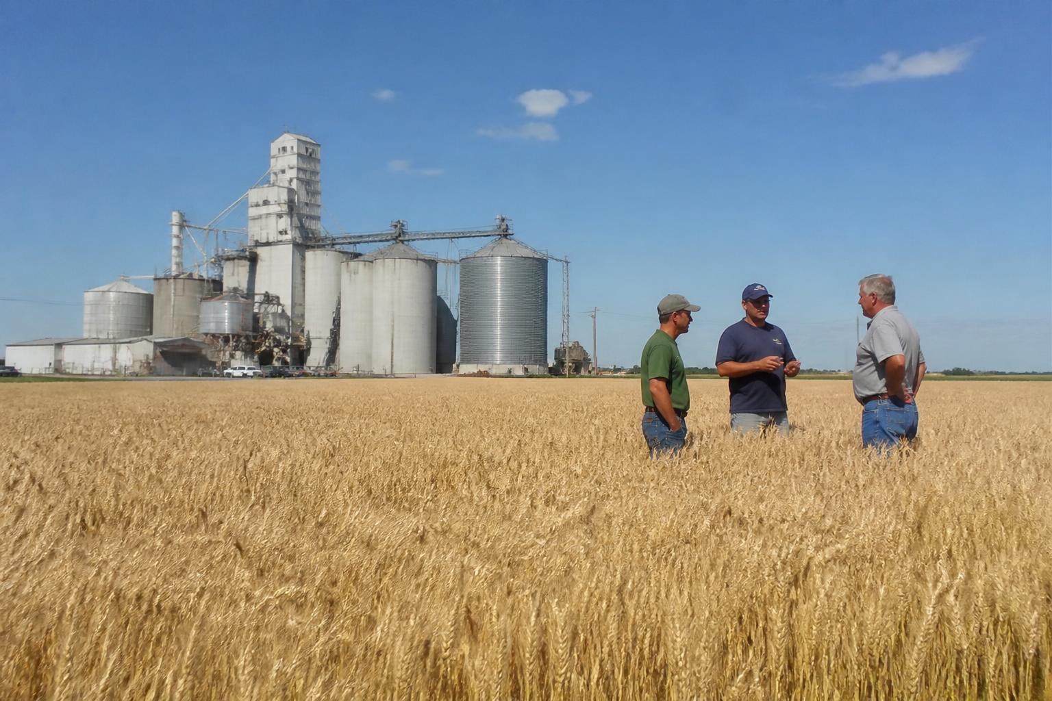 Colorado Grain Markets: Navigating Operational Efficiency Amidst Seasonal Shifts - AgroPost