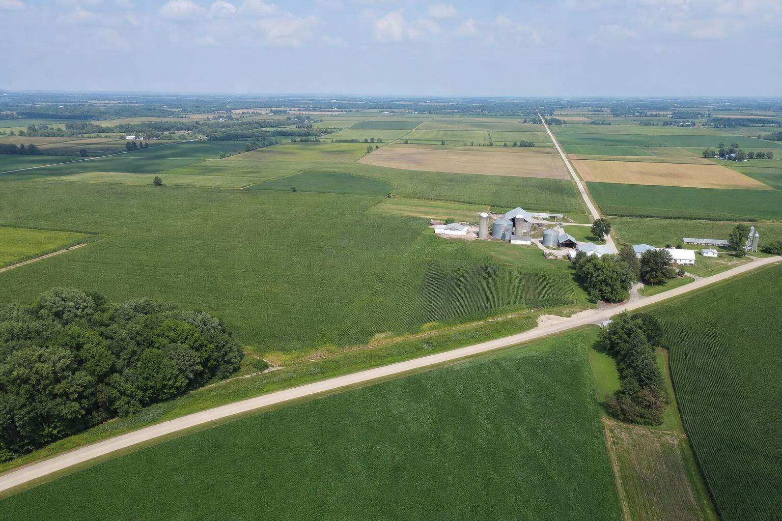 Michigan Grain Strategy: Benchmarking, Export Pressures, and Summer Management Shifts - AgroPost