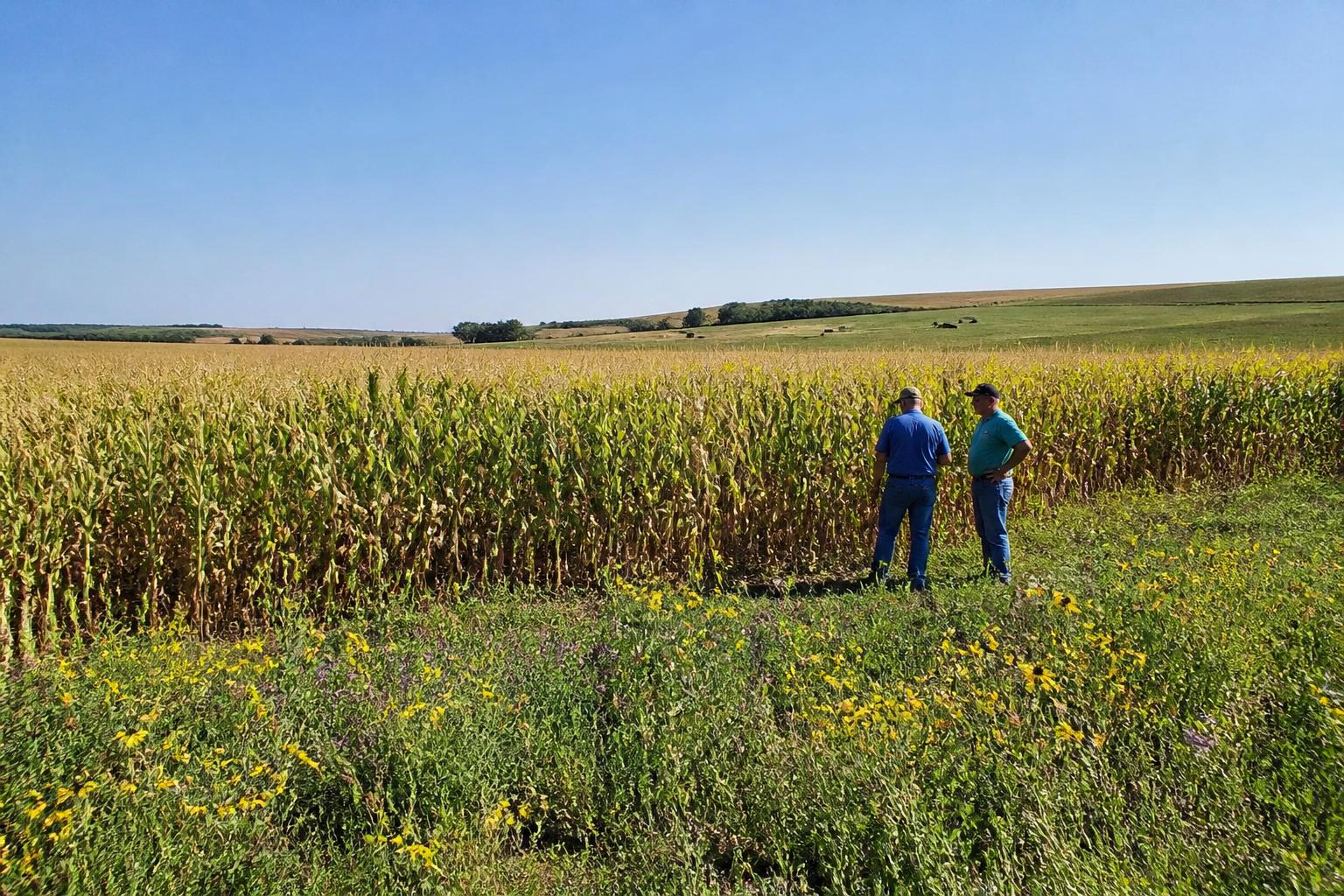 Navigating Transportation Challenges in the South Dakota Grain Sector - AgroPost