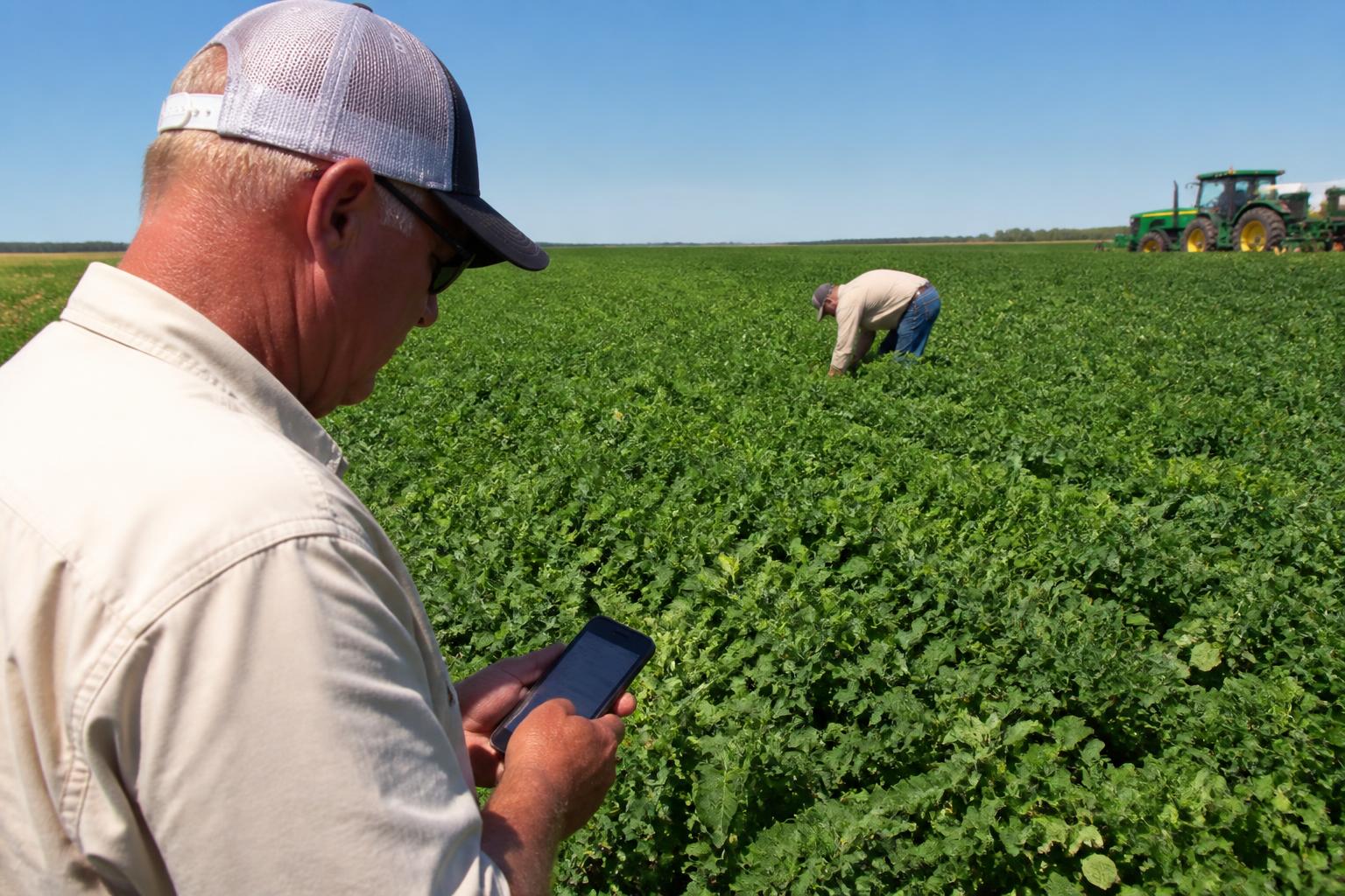 Oklahoma Field Management: Protecting Yields and Refining Inputs as Summer Crops Mature - AgroPost