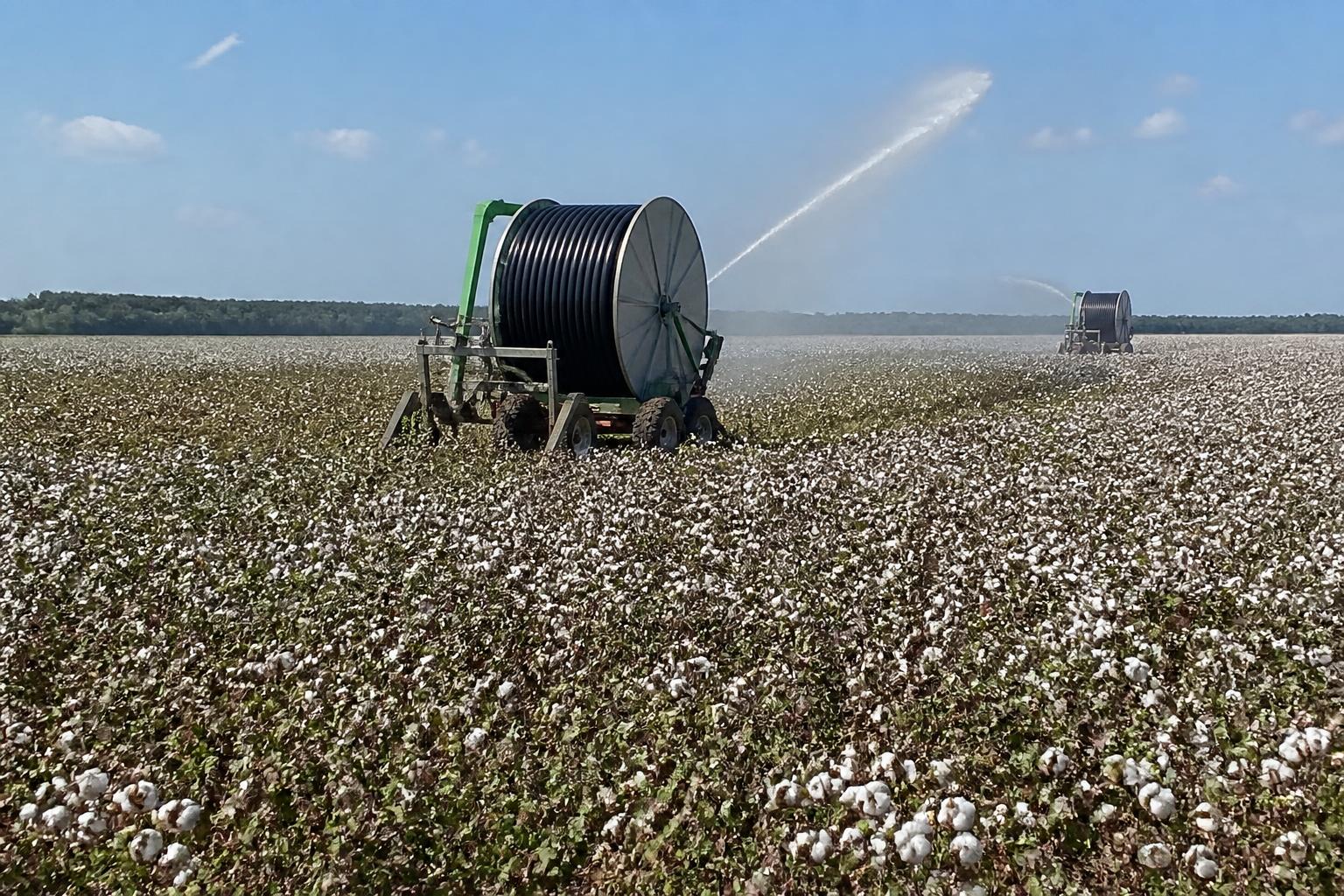 Navigating Mississippi Logistics: Protecting Crop Yields Amidst Variable River Levels - AgroPost