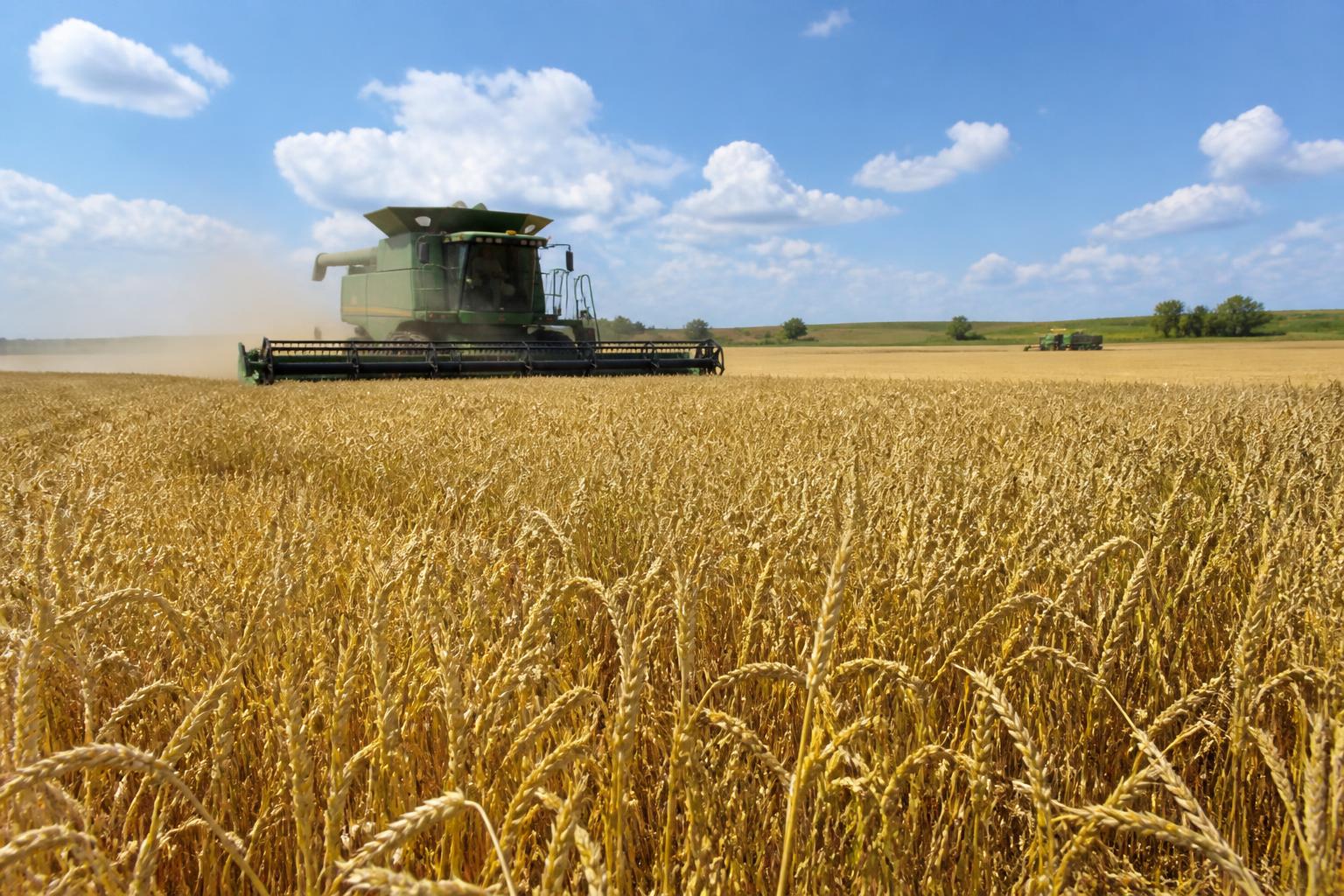 North Dakota Harvest Logistics: Balancing Speed and Field Conditions in Late Summer - AgroPost