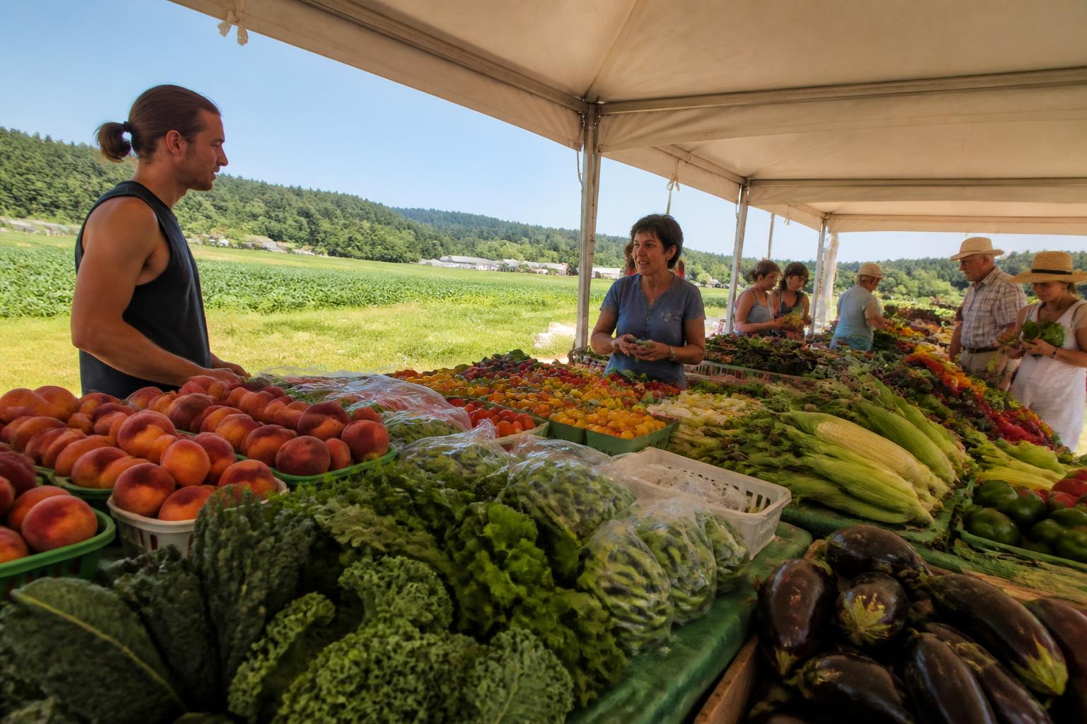 Massachusetts Agribusiness Mid-Season: Balancing Innovation and Market Shifts - AgroPost