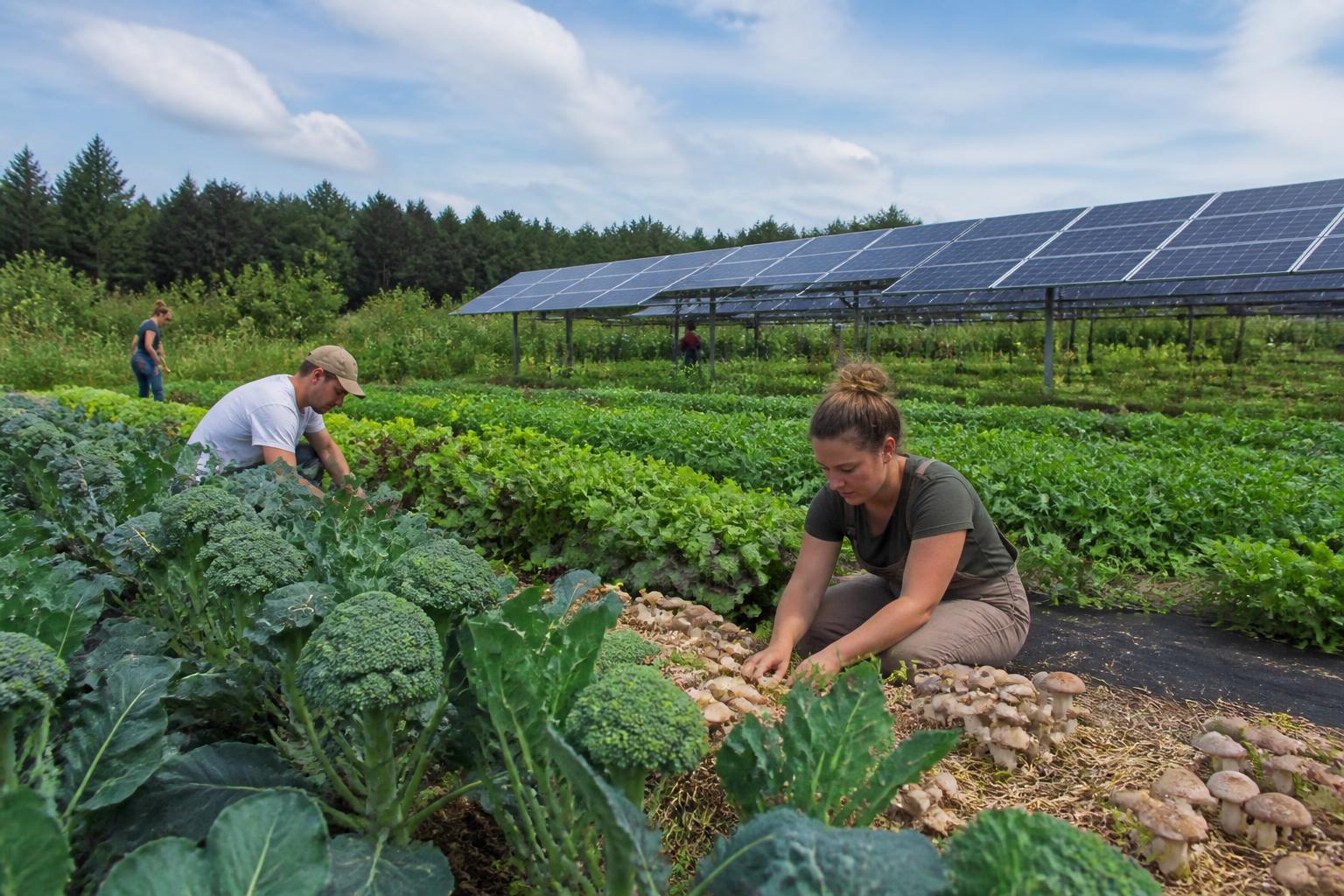 Managing Farm Land Stability and Environmental Compliance in Maine - AgroPost