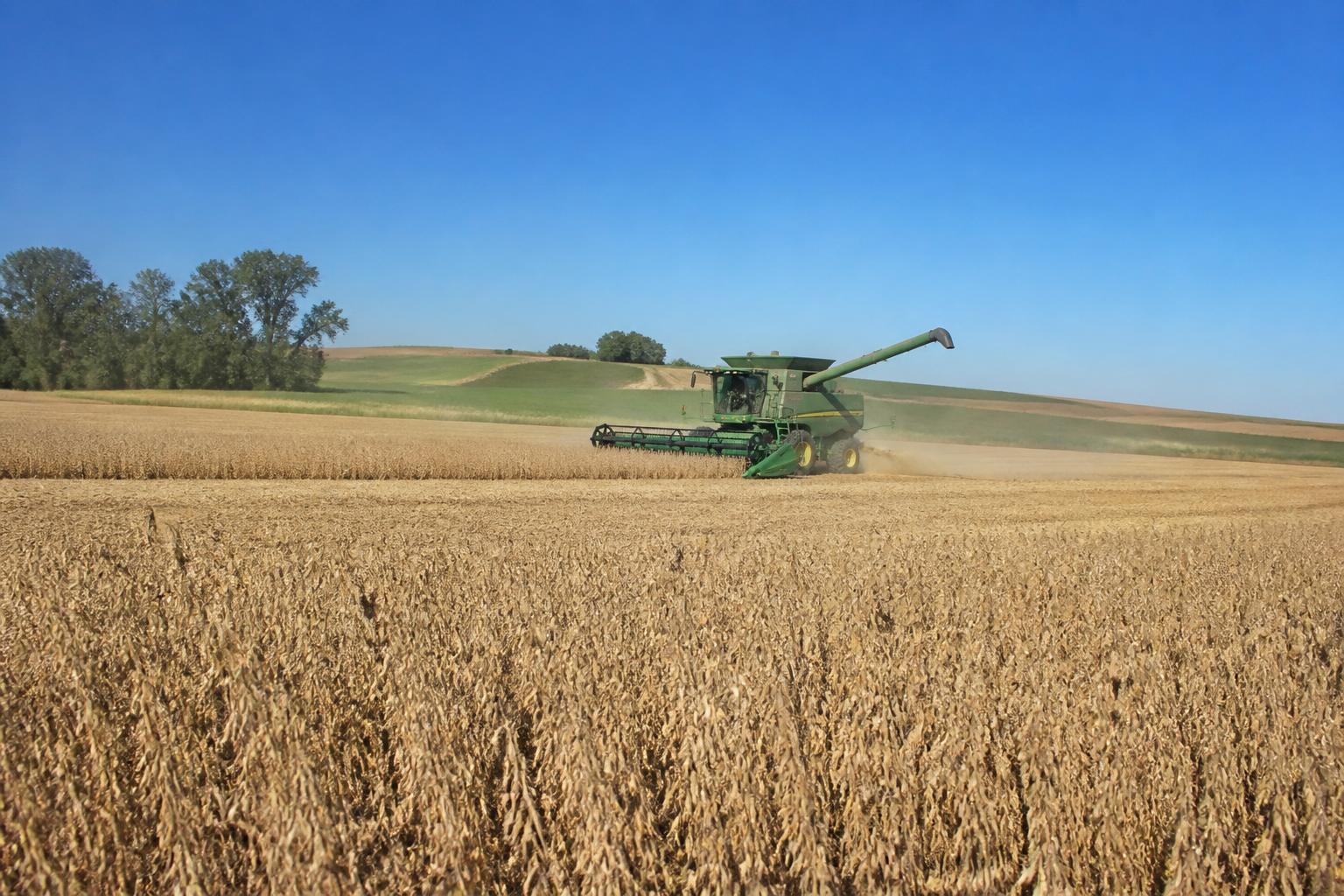 South Dakota Grain Logistics Update: Managing Summer Transport Flows - AgroPost