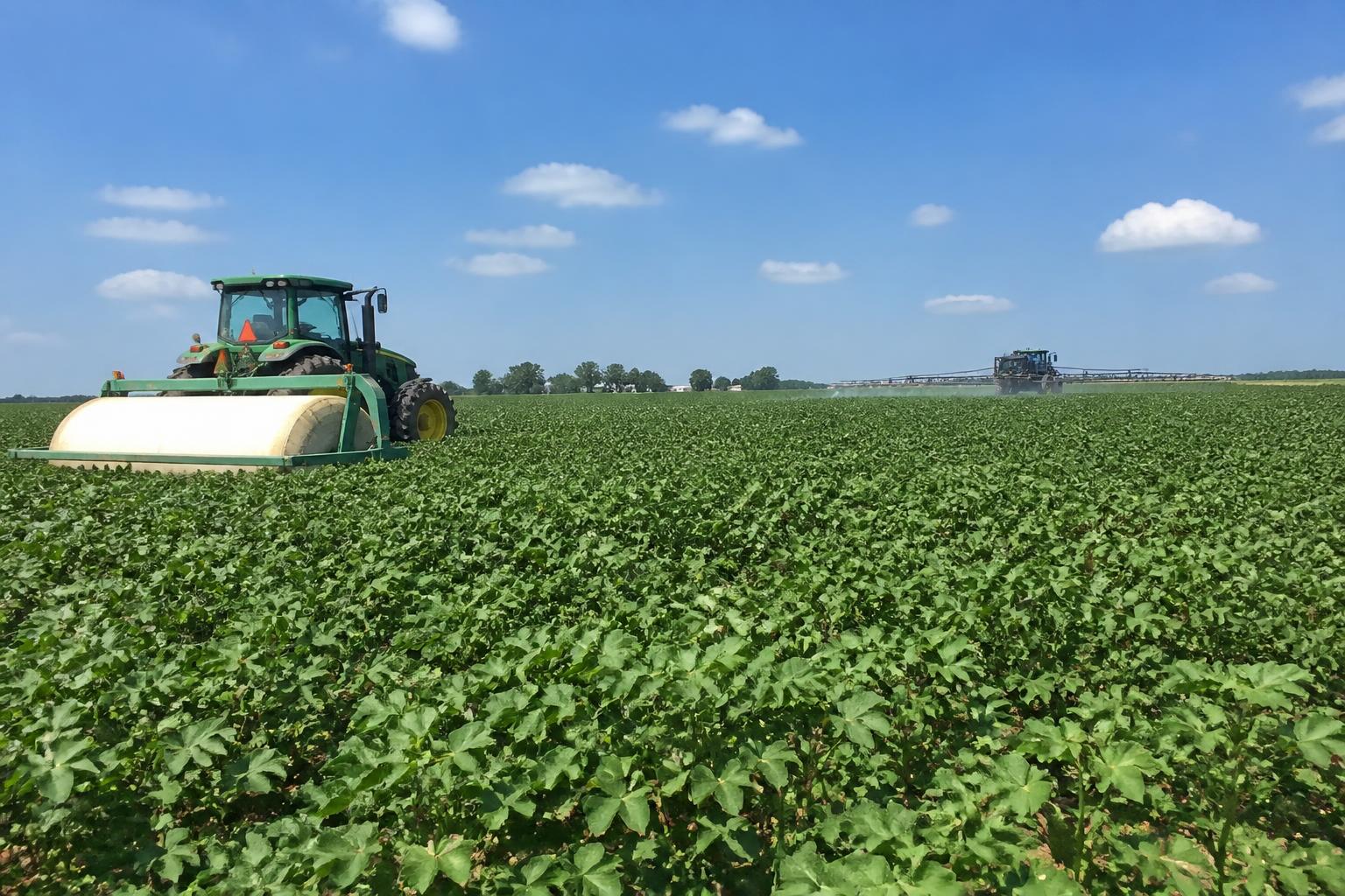 Navigating Alabama's Agricultural Supply Chain as Late-Summer Shifts Arrive - AgroPost