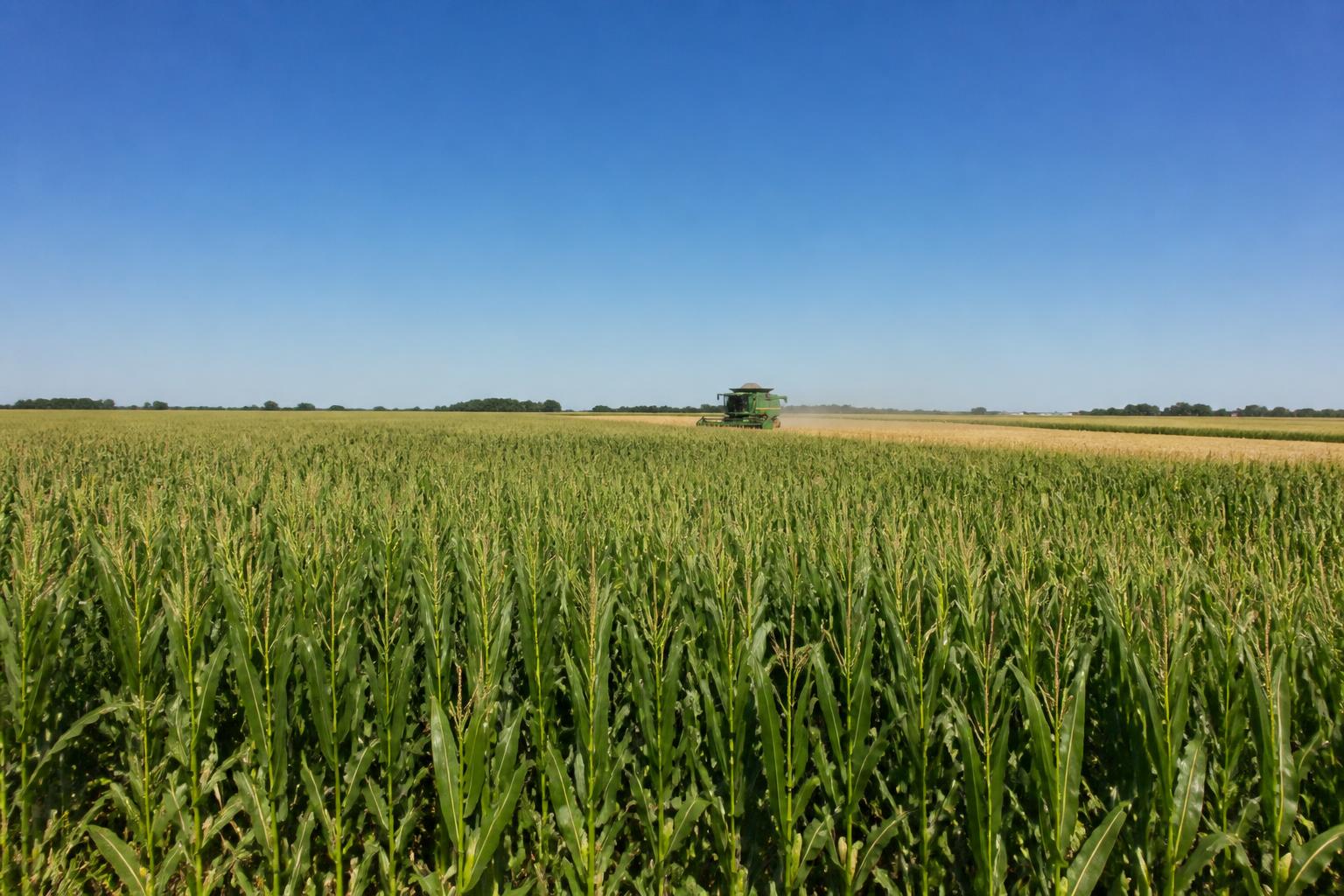 North Dakota Harvest Logistics: Managing Efficiency in a Busy Season - AgroPost