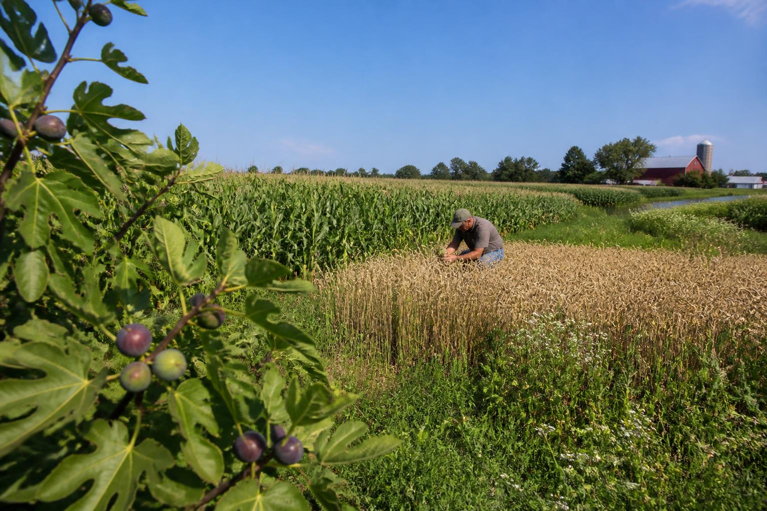 Consolidating Fertilizer Operations in Ohio: Impact on Local Distribution - AgroPost