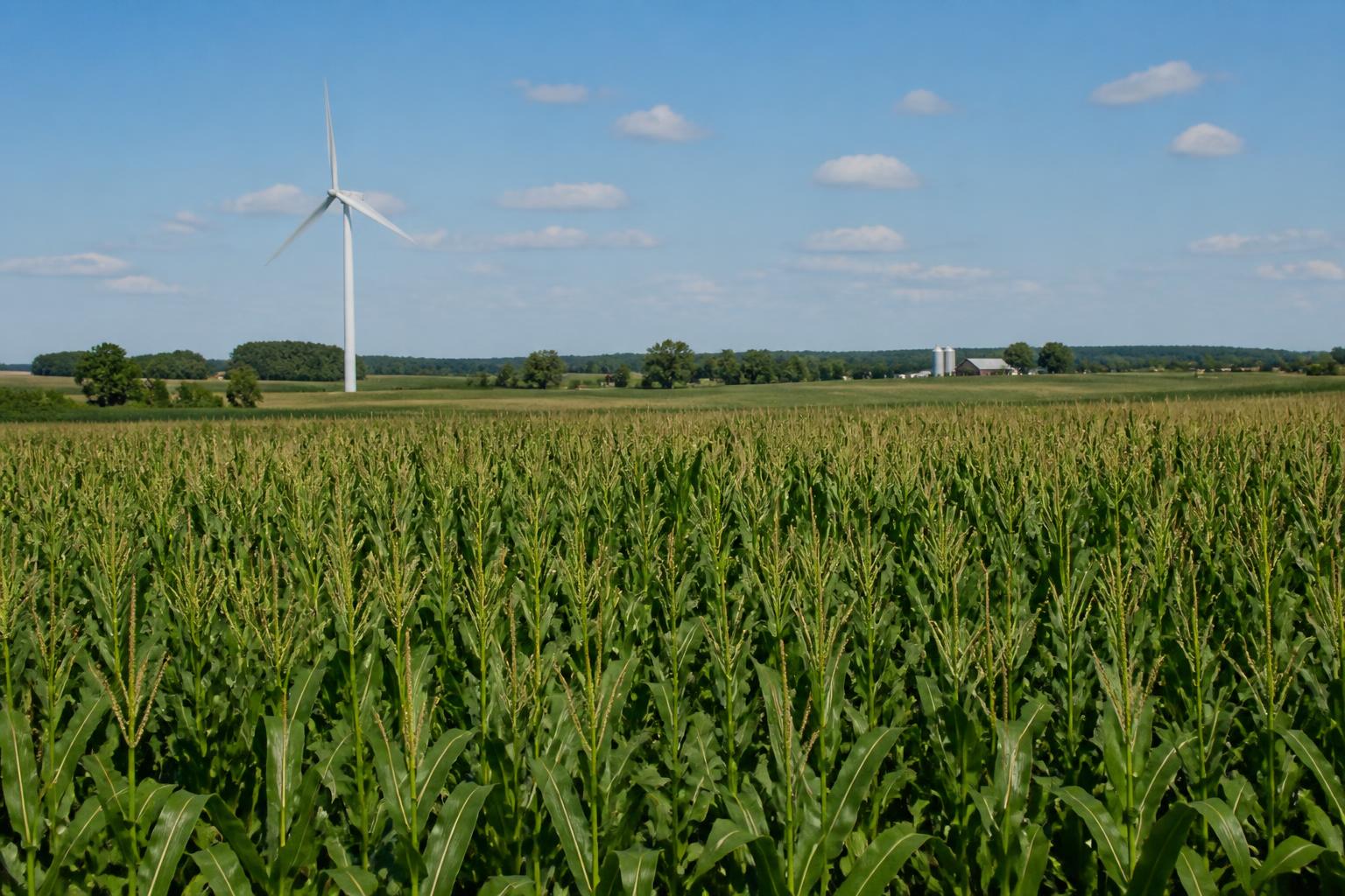 Minnesota Grain Logistics and Sustainability Trends: August 2026 - AgroPost