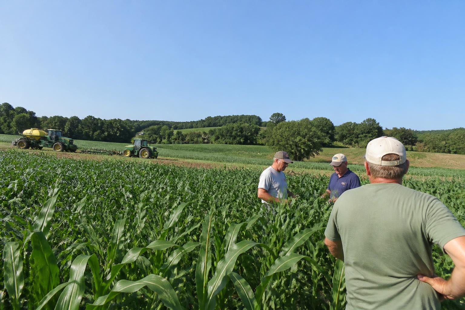 Navigating Late-Summer Market Pressures in Pennsylvania Agriculture