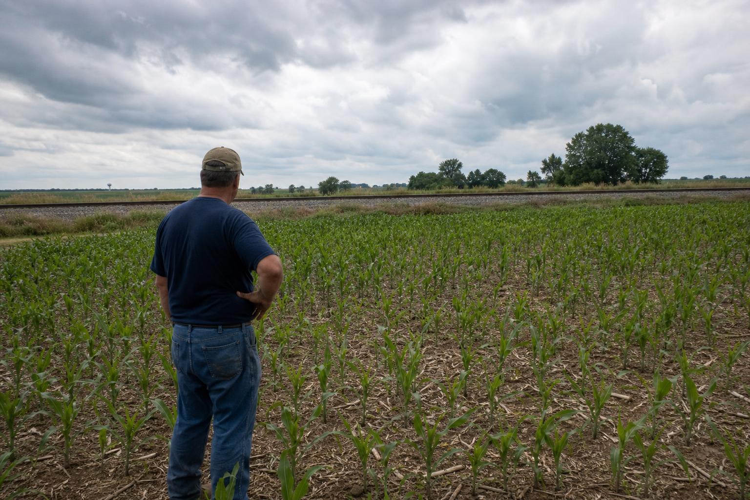 High Input Costs and Logistic Headwinds Shape North Dakota's Summer Ag Market