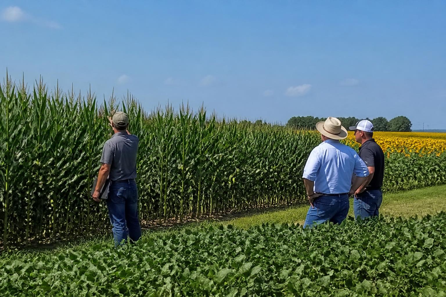 Indiana Transport Brief: Navigating New Regulations and Peak Season Logistics - AgroPost