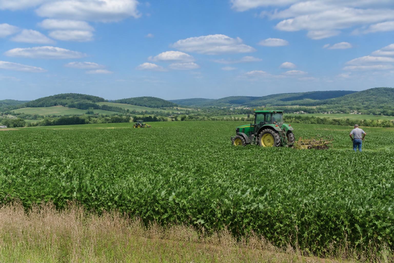 Kentucky Crop Logistics: Navigating Mid-Season Challenges and Market Uncertainty - AgroPost