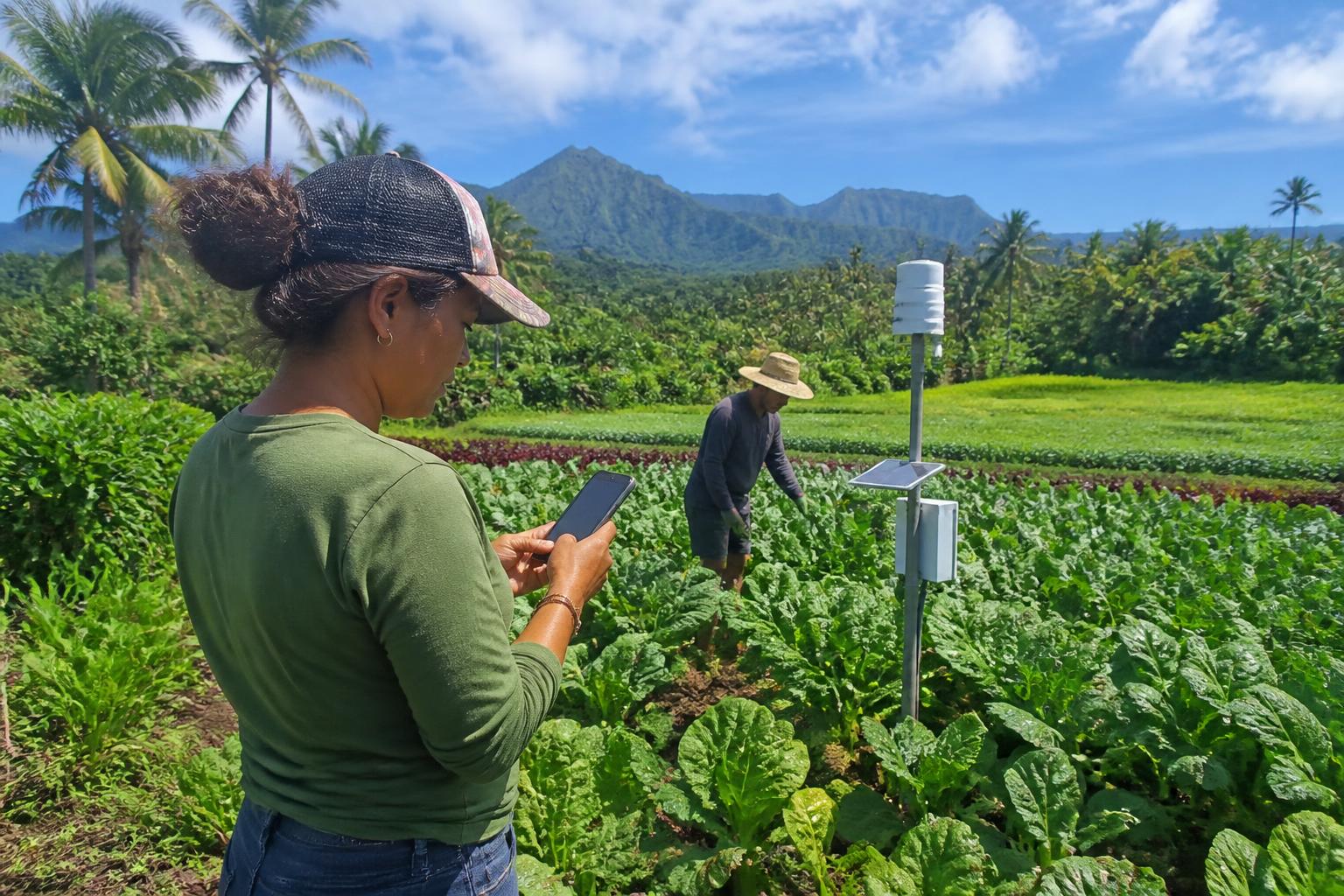 Navigating Fertilizer Supply and Logistic Constraints in Hawaii Agriculture - AgroPost